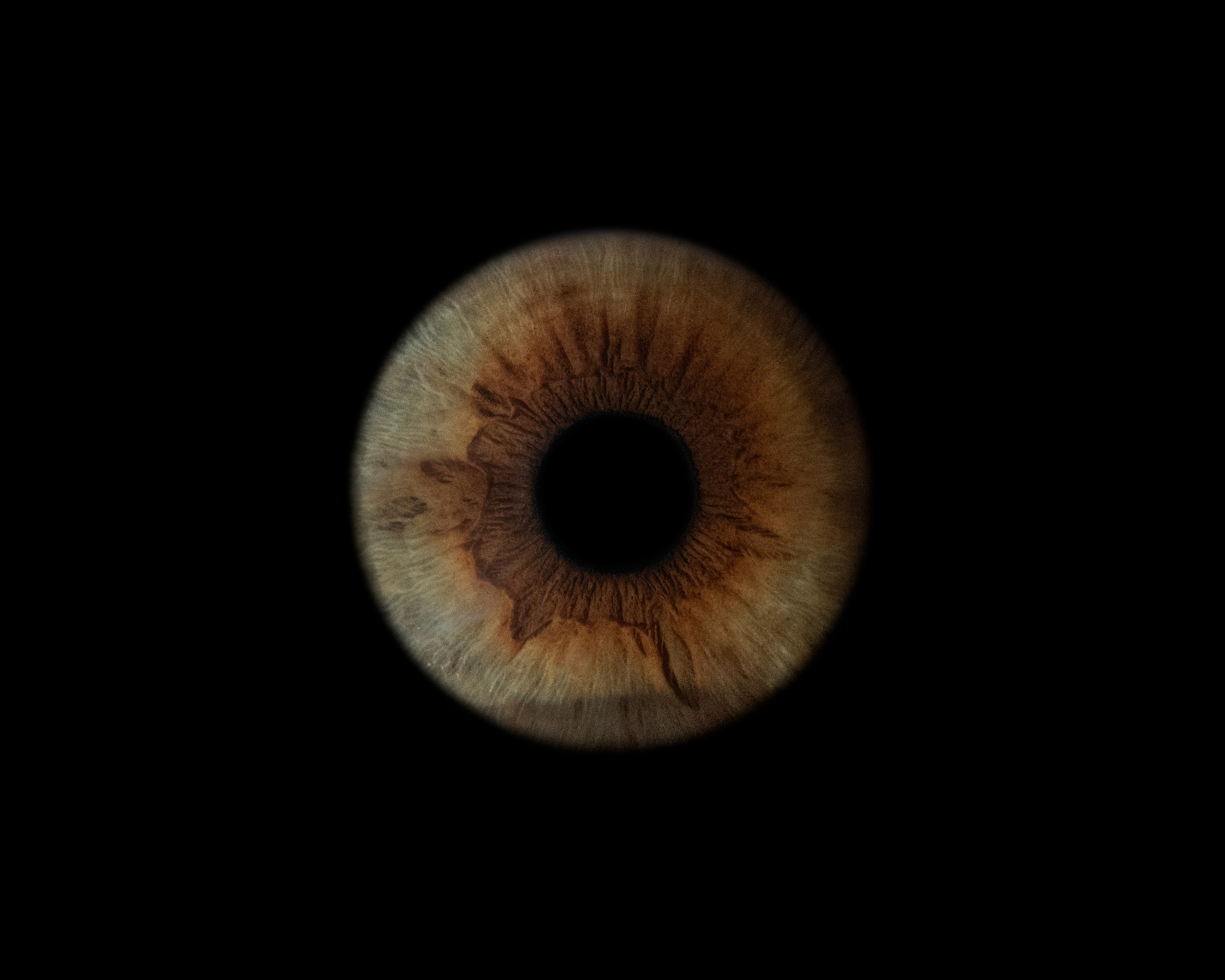 Фотостудия макросъёмки радужки глаз в Севастополе «Ojo art»