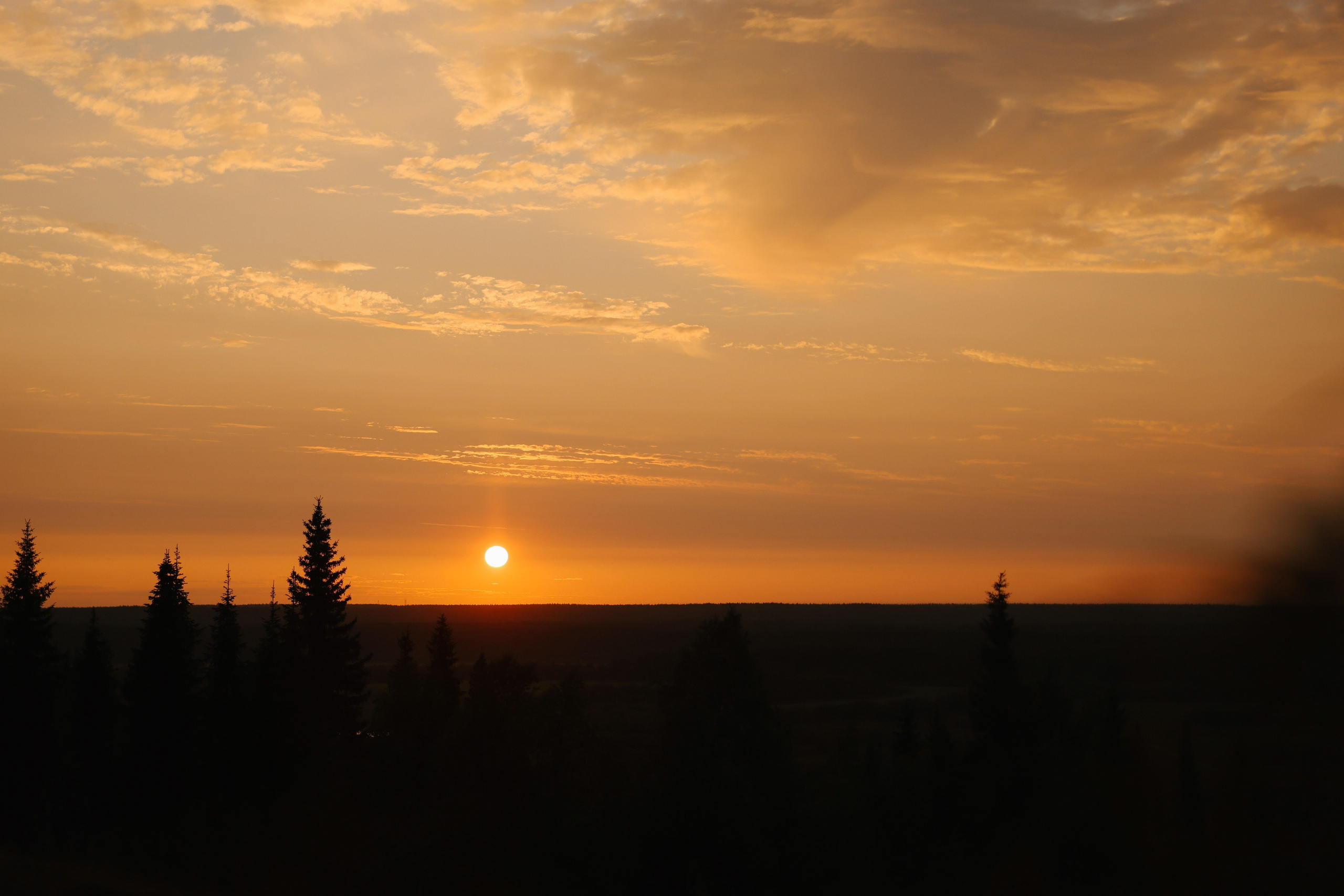 Ксения & Денис. The STORIES Event Studio