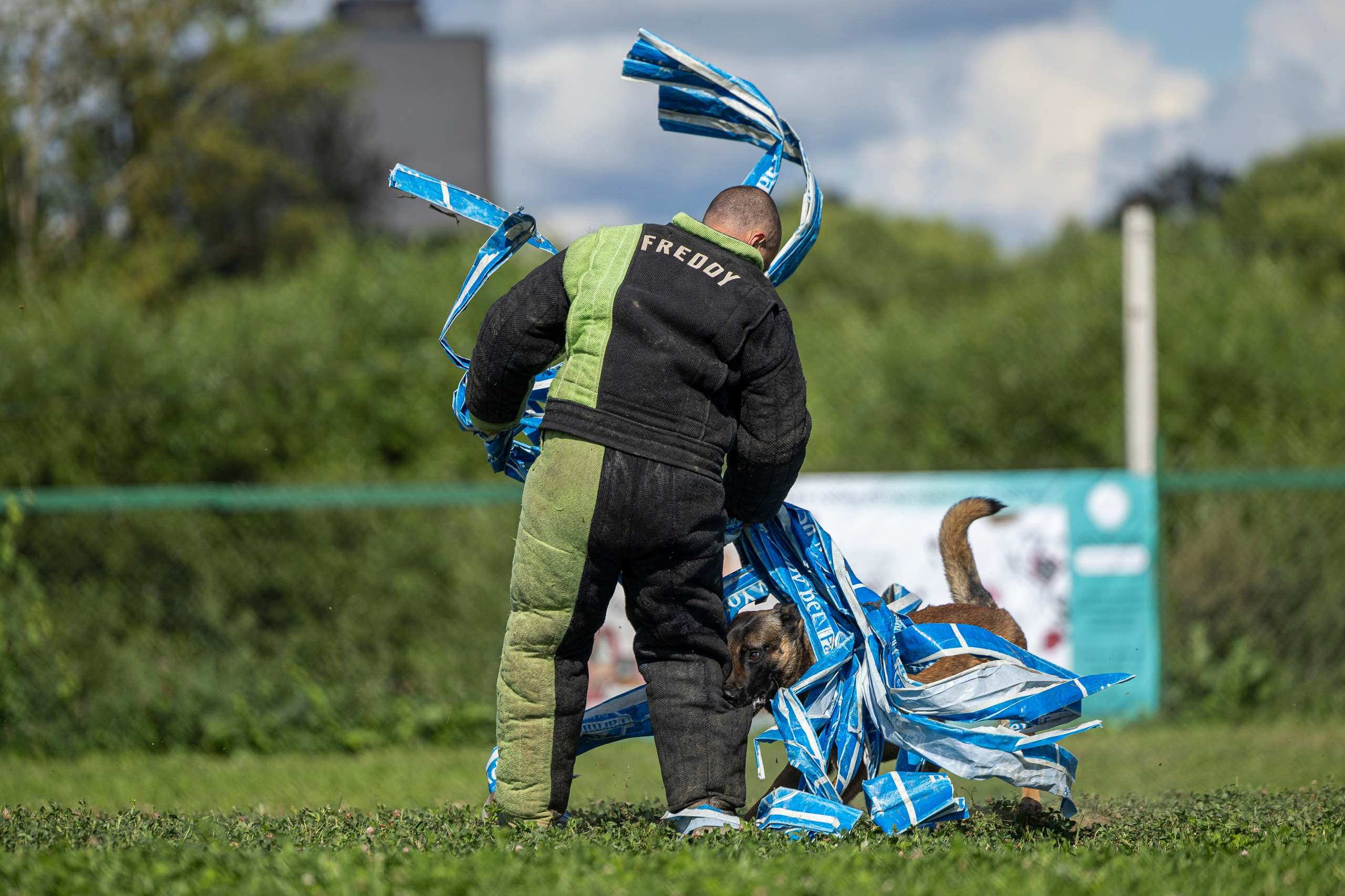 Соревнования по Мондьорингу г. Вологда 10-11.08.2024. Фотограф-анималист Анна Маринич