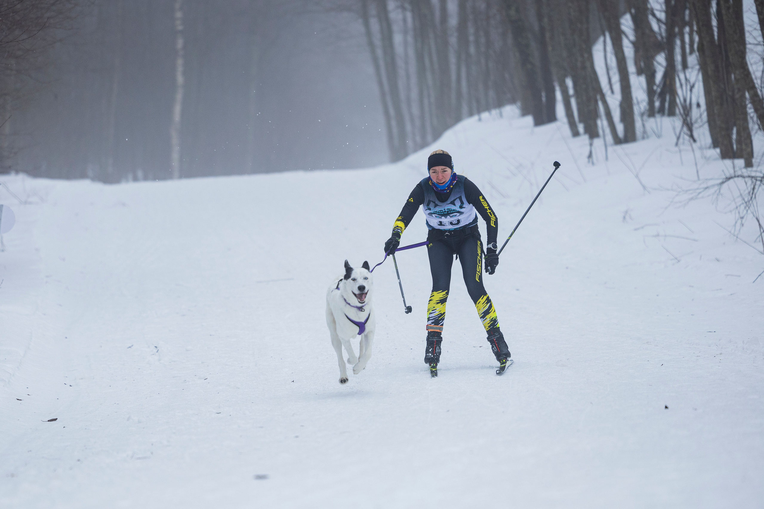 Зимний Чемпионат Санкт-Петербурга по ездовому спорту. Фотограф-анималист Анна Маринич
