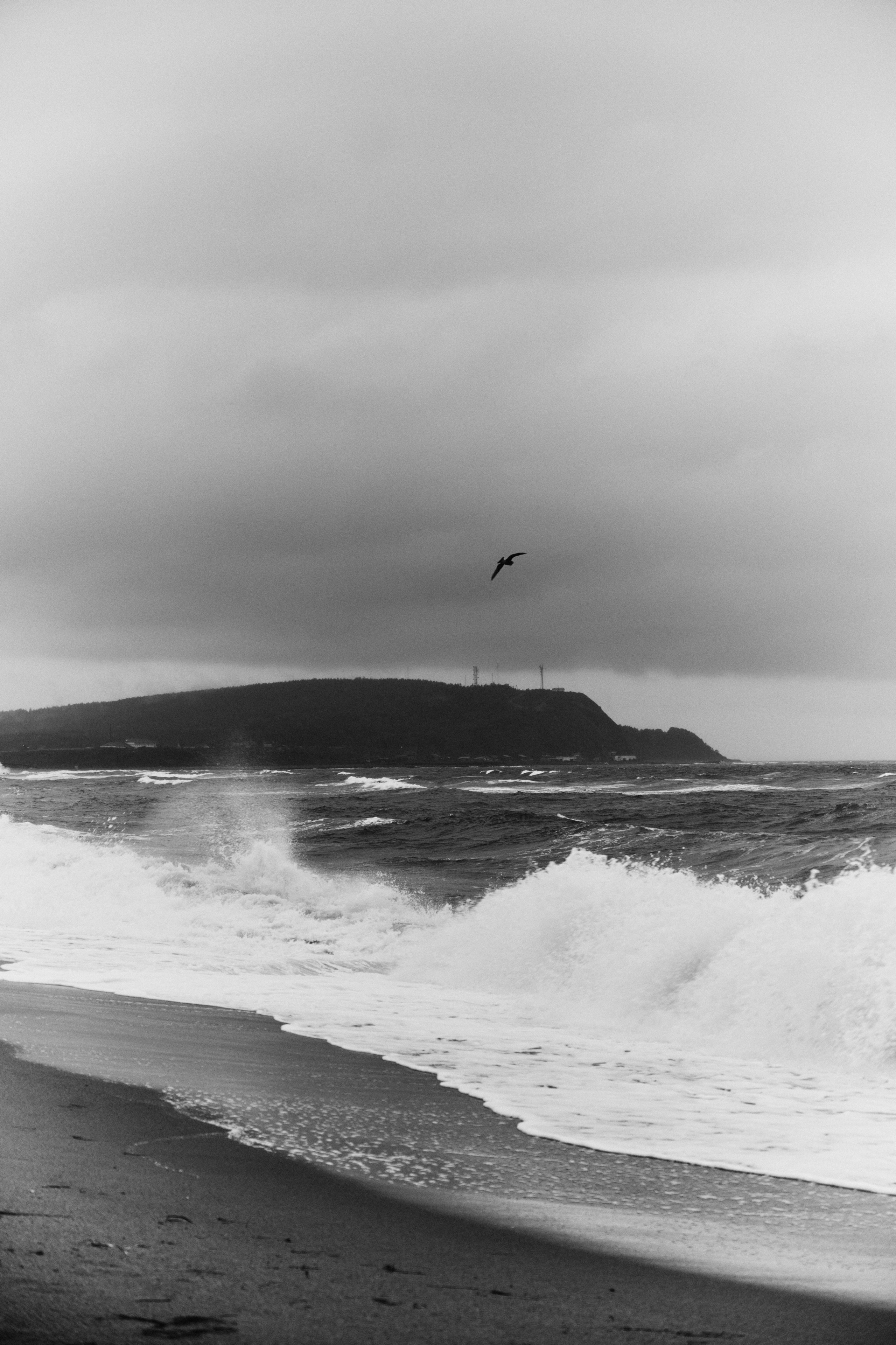BAON x SAKHALIN. Фотограф Сурков Никита