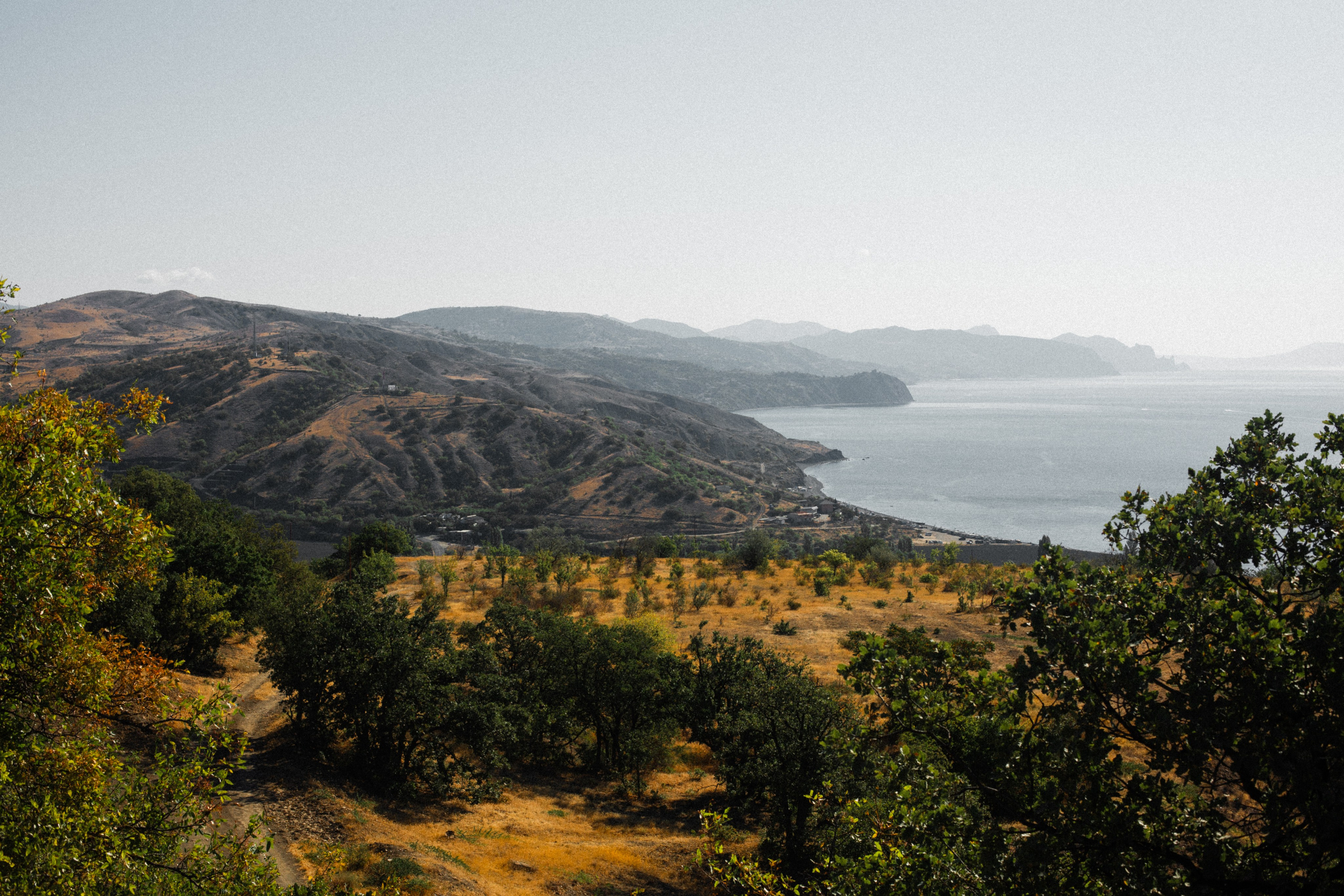 RICORDI PRESET PACK. Концертный фотограф Евгения Самойлова