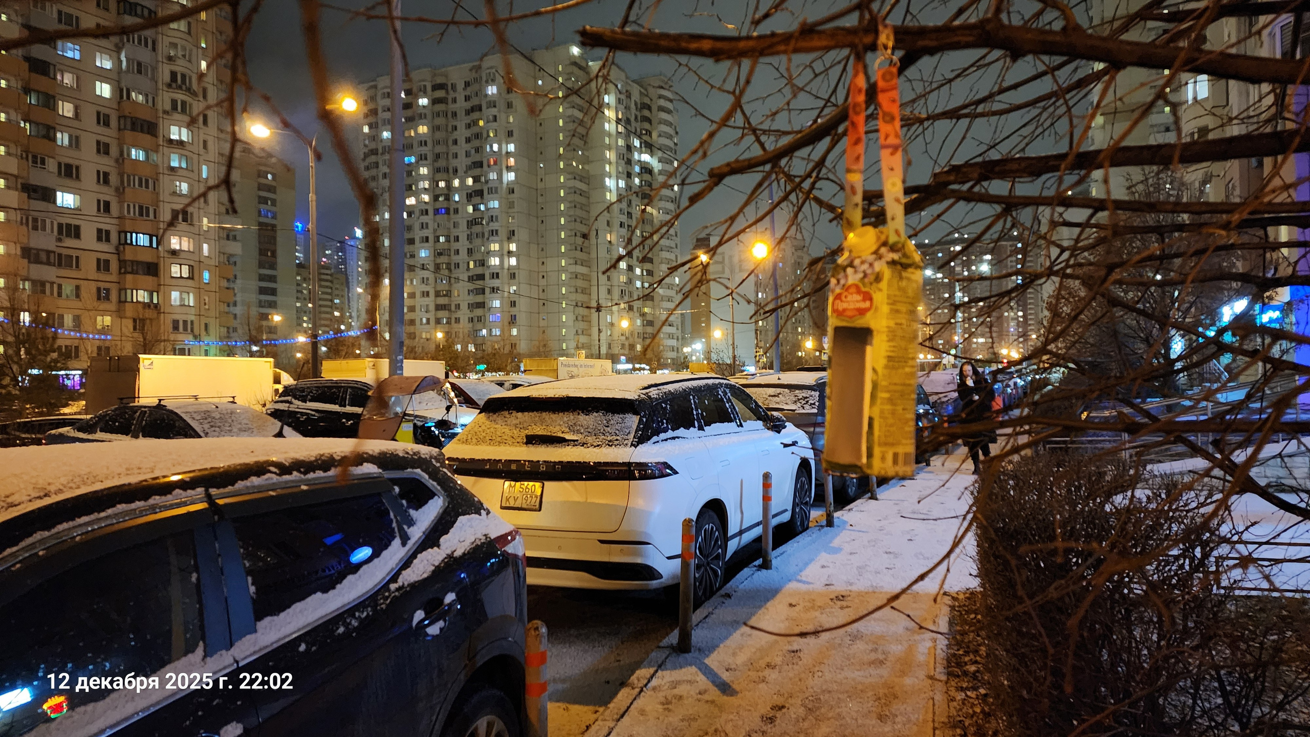 В середине декабря внезапно пришла зима. Собор Отрасли