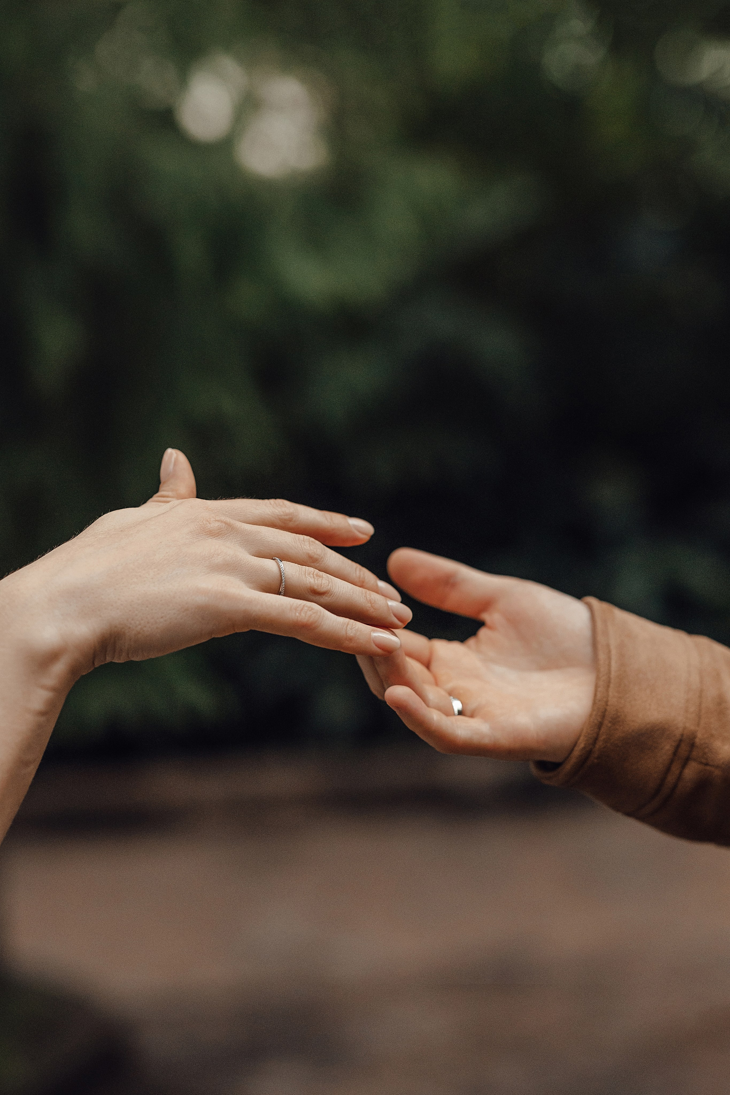 Свадебная фотосессия в Оранжерее. Свадебный фотограф в Москве Дарья Олендарёва