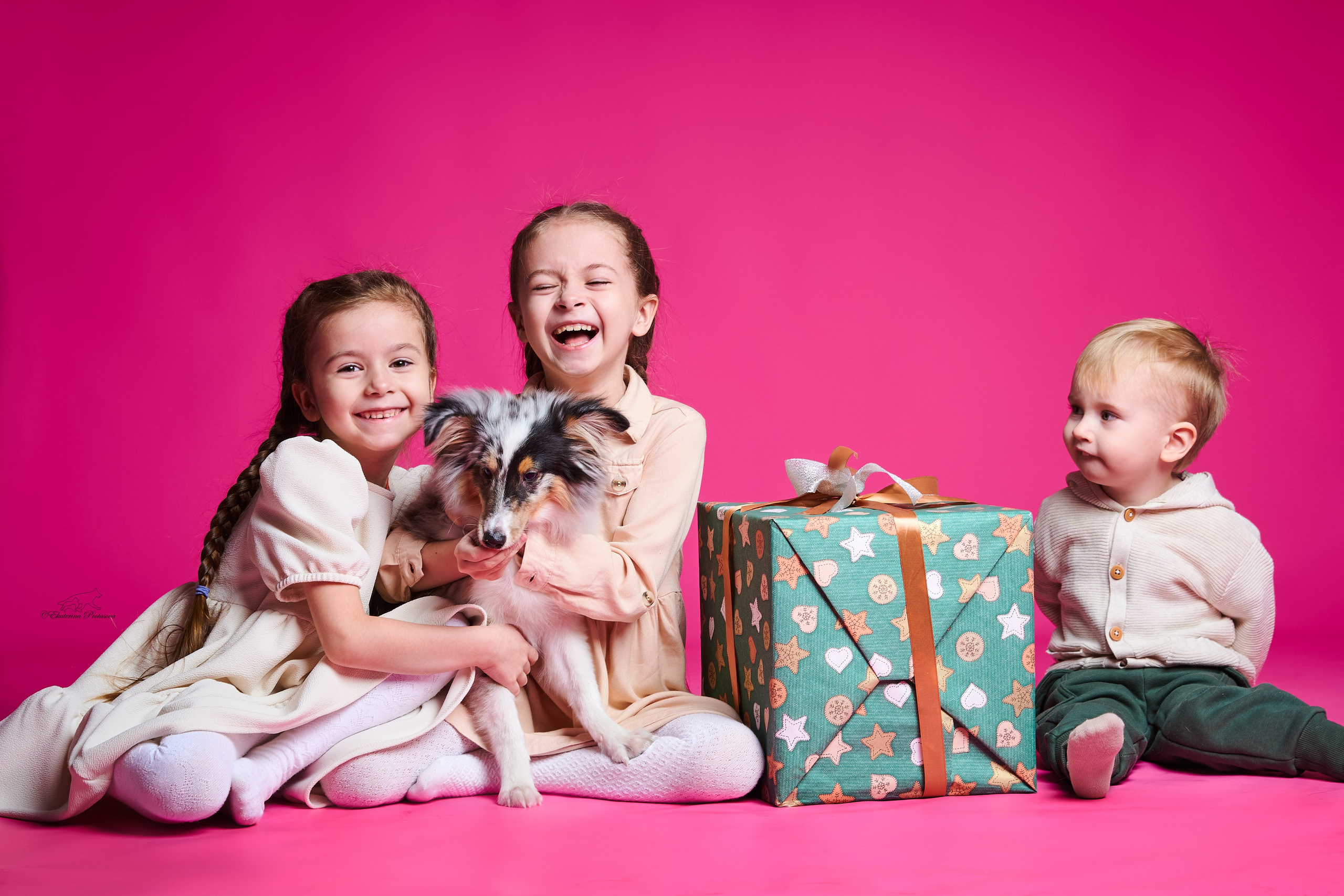 Джек и его семья. Фотограф-анималист в Иркутске