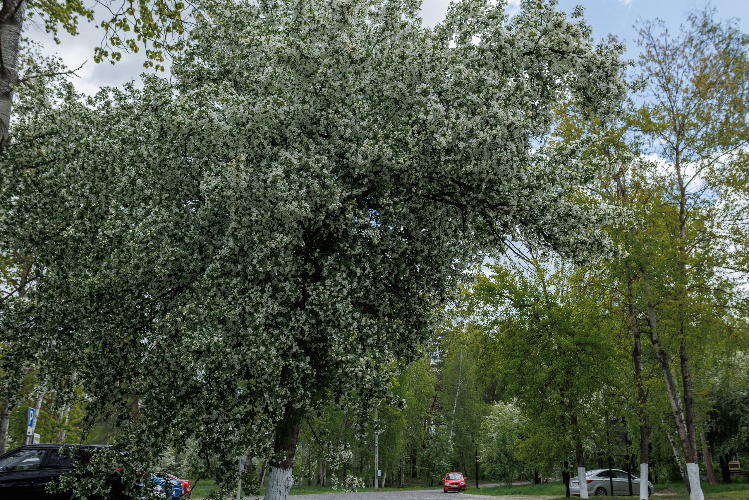 База отдыха «Металлург». Фотограф городских и семейных событий в Нижнем Новгороде Артем Карпухин