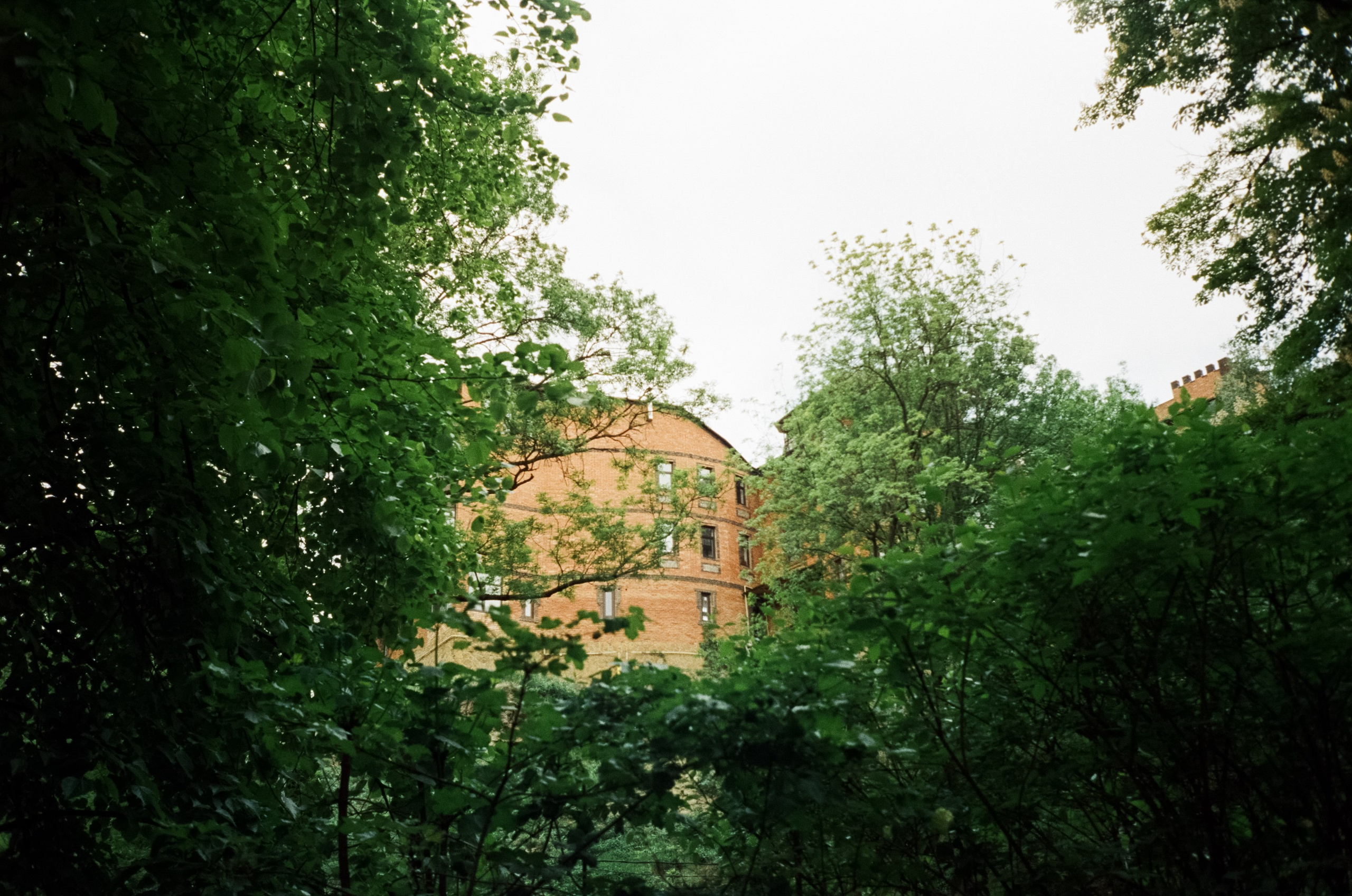 Дача Шаляпина. Цветочный календарь «1 мая» в Национальном парке Кислов. Фотограф-документалист Мария Осокина