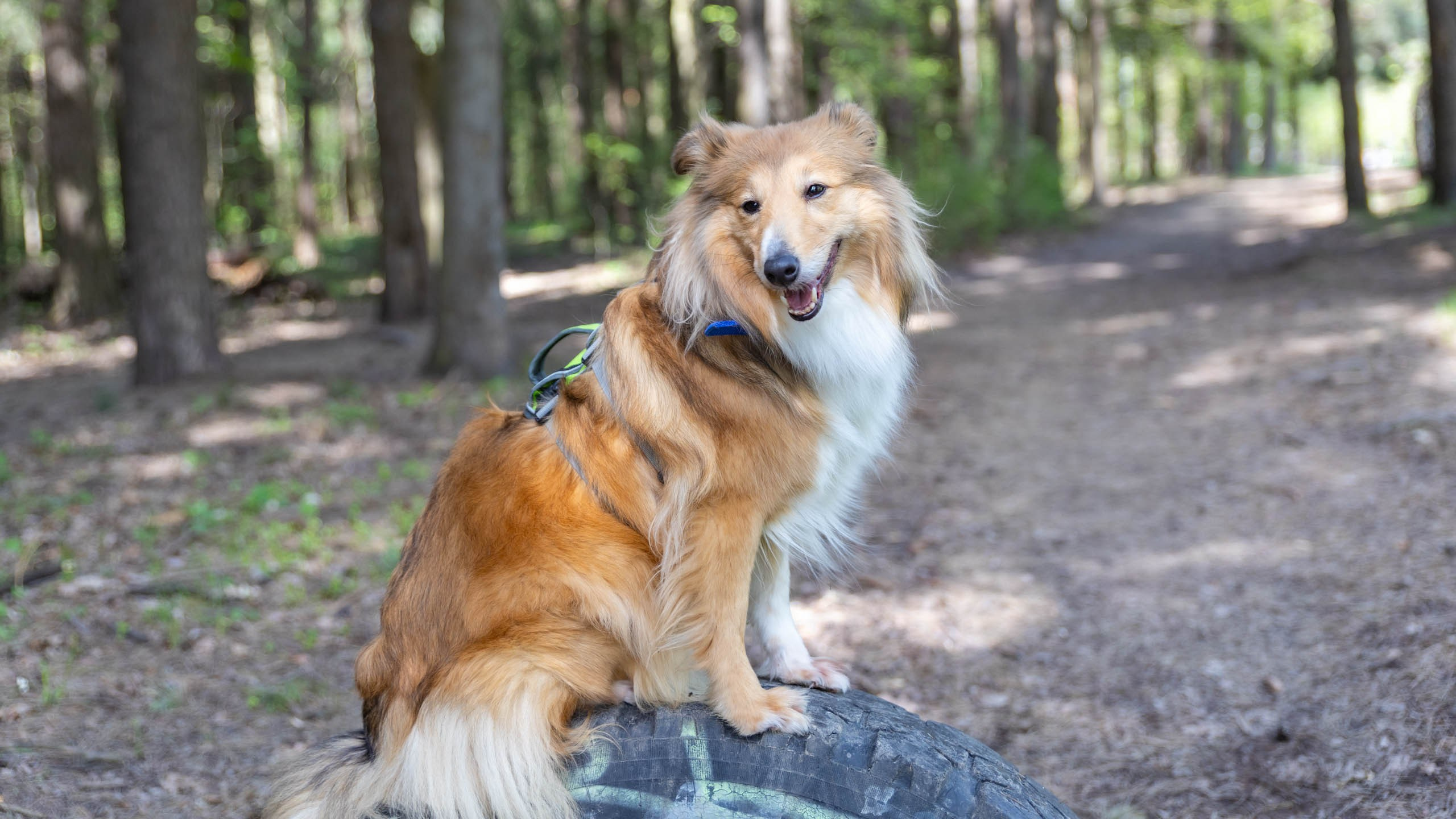 202404 Элис и Лора. Фотографии