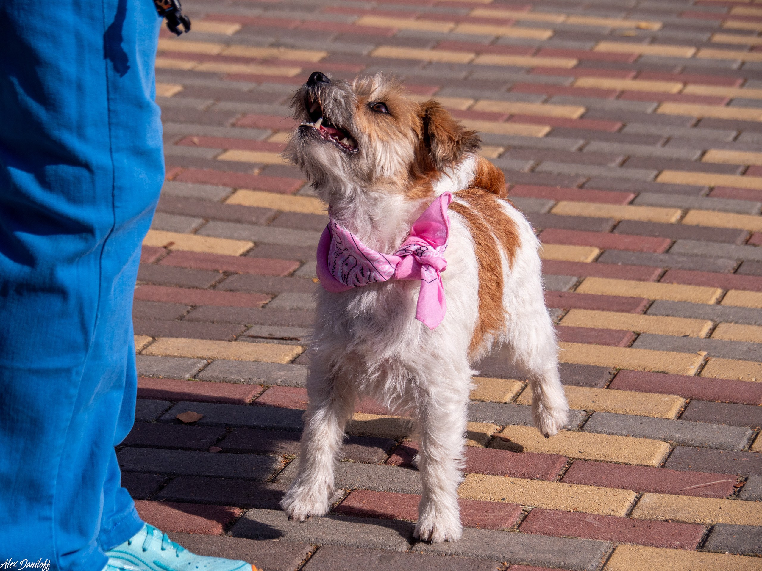 Обнимака 2025. Муром-Инфо. Новости культуры, образования, спорта в городе Муром