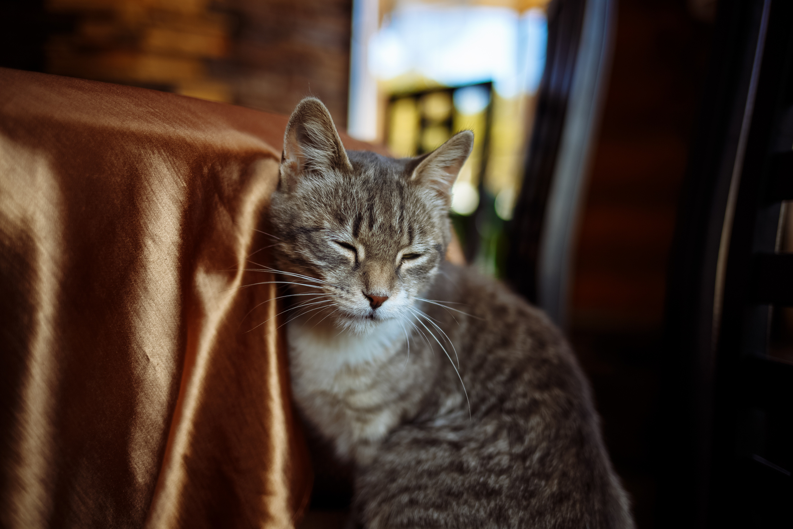 Репортаж. Портретный фотограф, Славянка