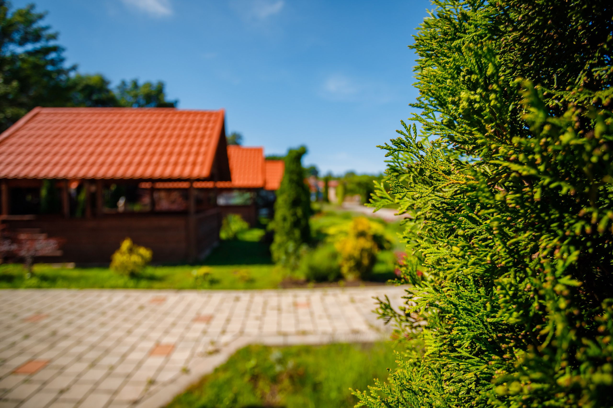 Беседки на горячем источнике