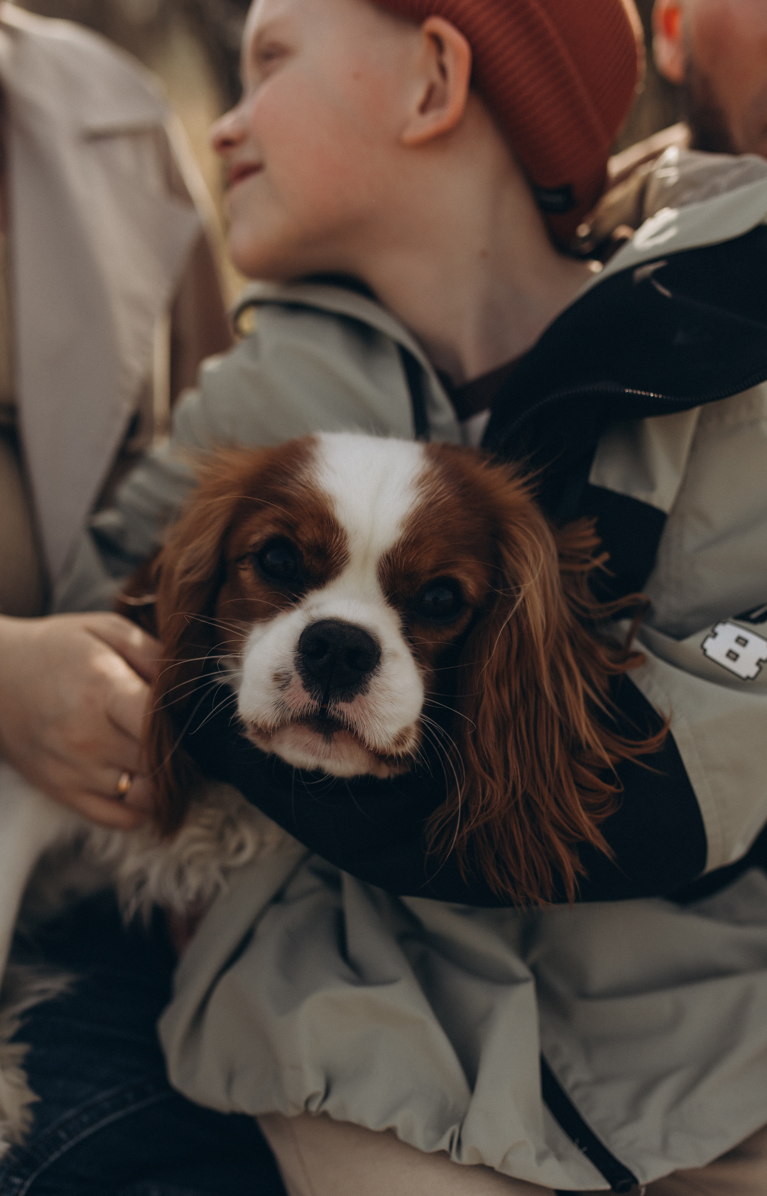 Николай, Елена, Тимофей и Арчи. Услуги