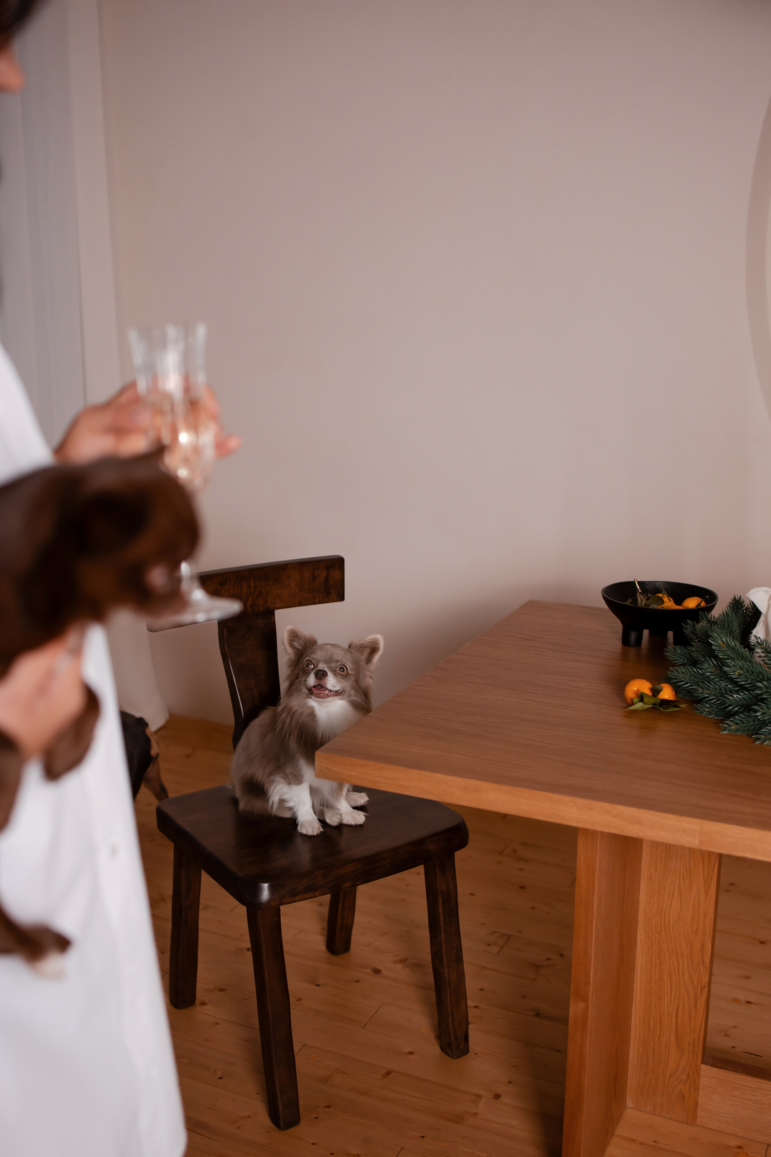 Новогодняя фотосессия девушки в студии. Фотограф-анималист в Краснодаре Маша Мельникова