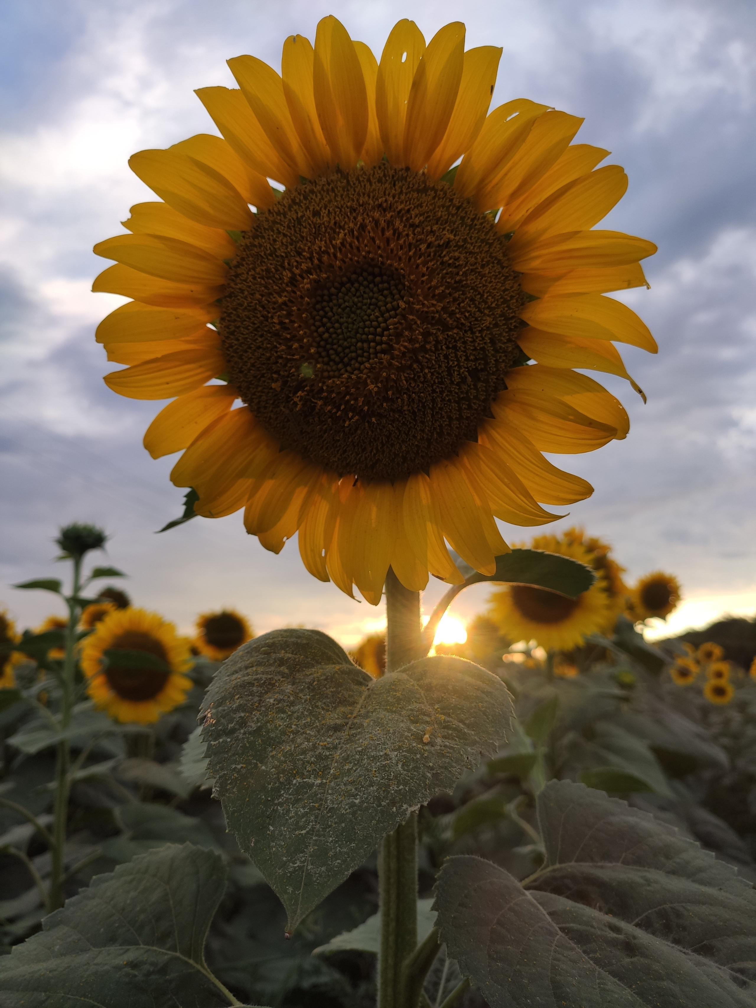 Ресурсы. Контент-фотограф Рязань/Москва/Санкт-Петербург/Сочи Елена Сазонтова