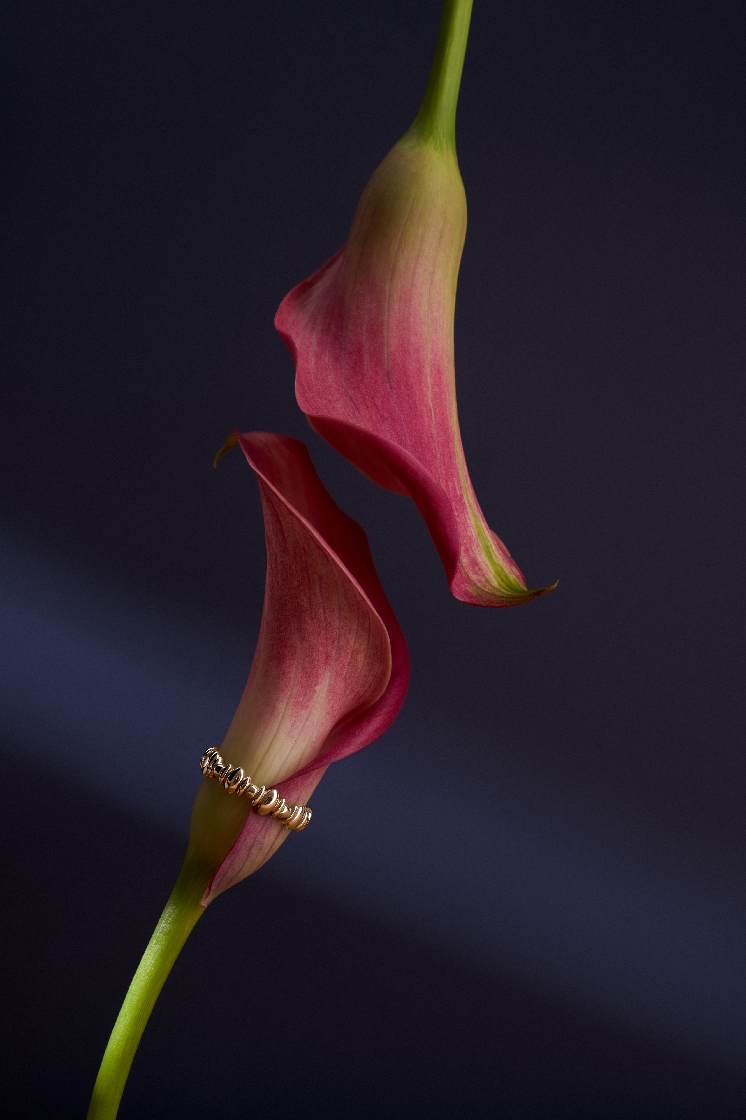 Jewelry. Retoucher Natali Krasulina / Retouch photo