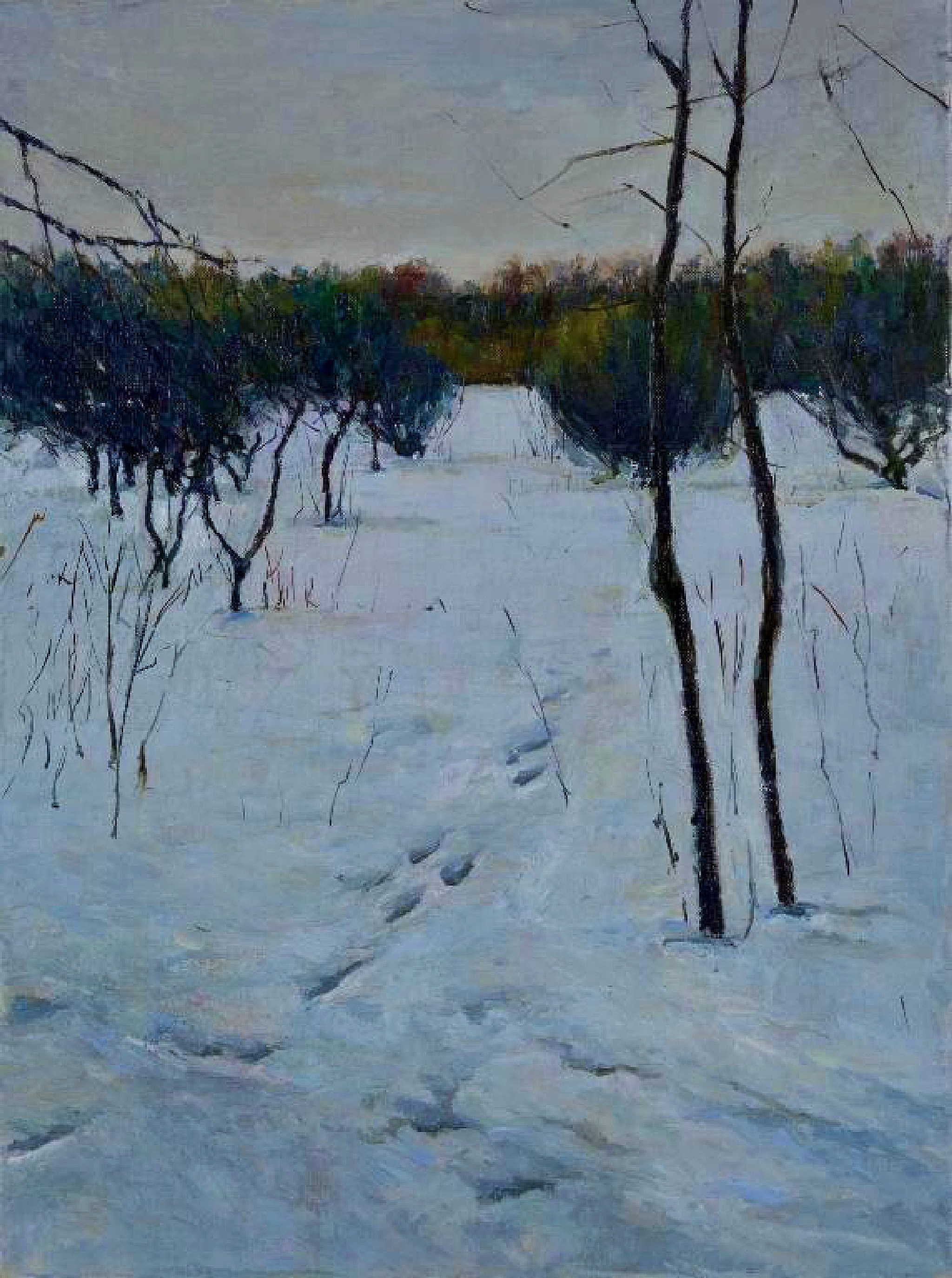 "Зимний" 60Х80 см Холст/масло 2016. Продано. Зима, Белый