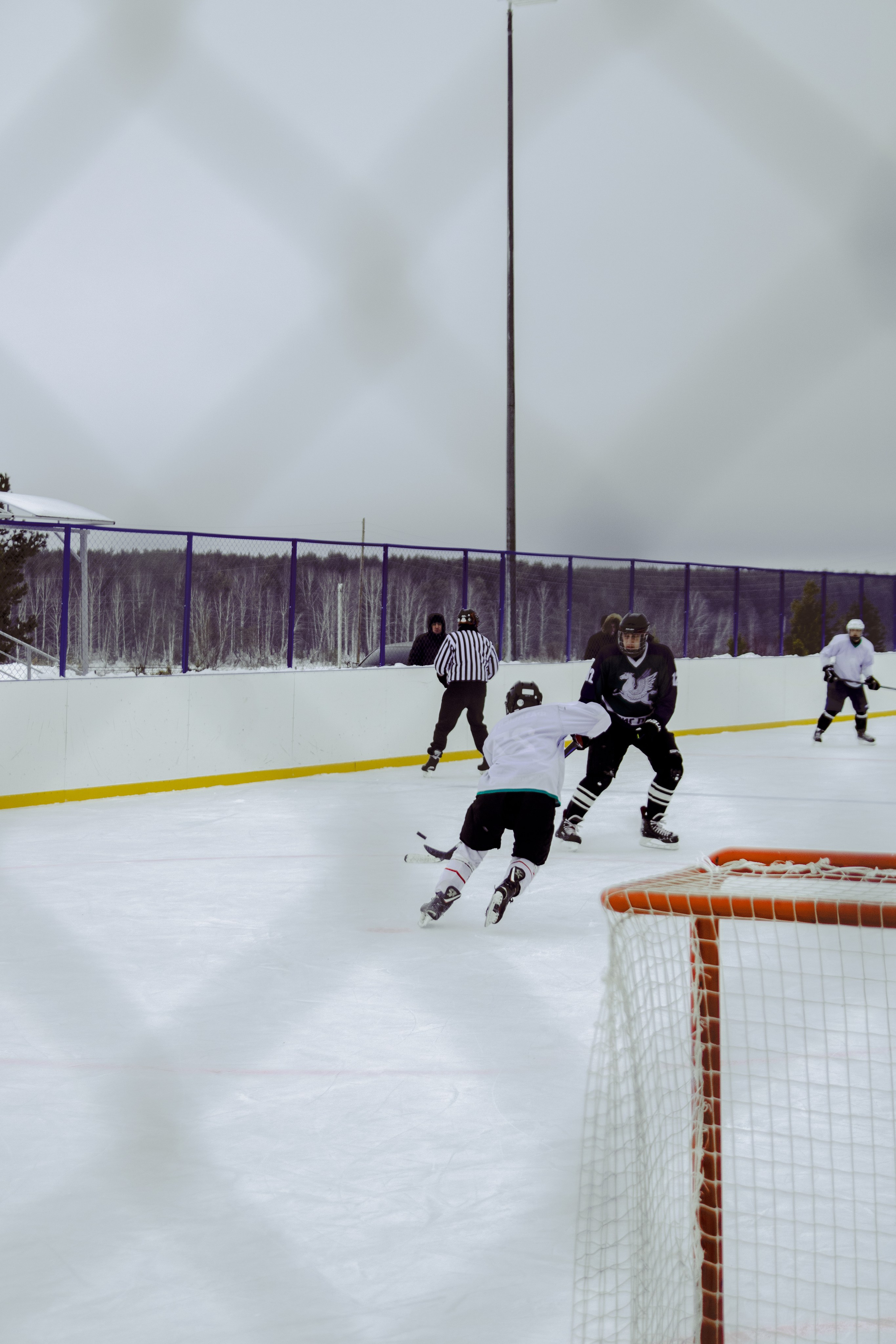 Хоккей 29.12.2024