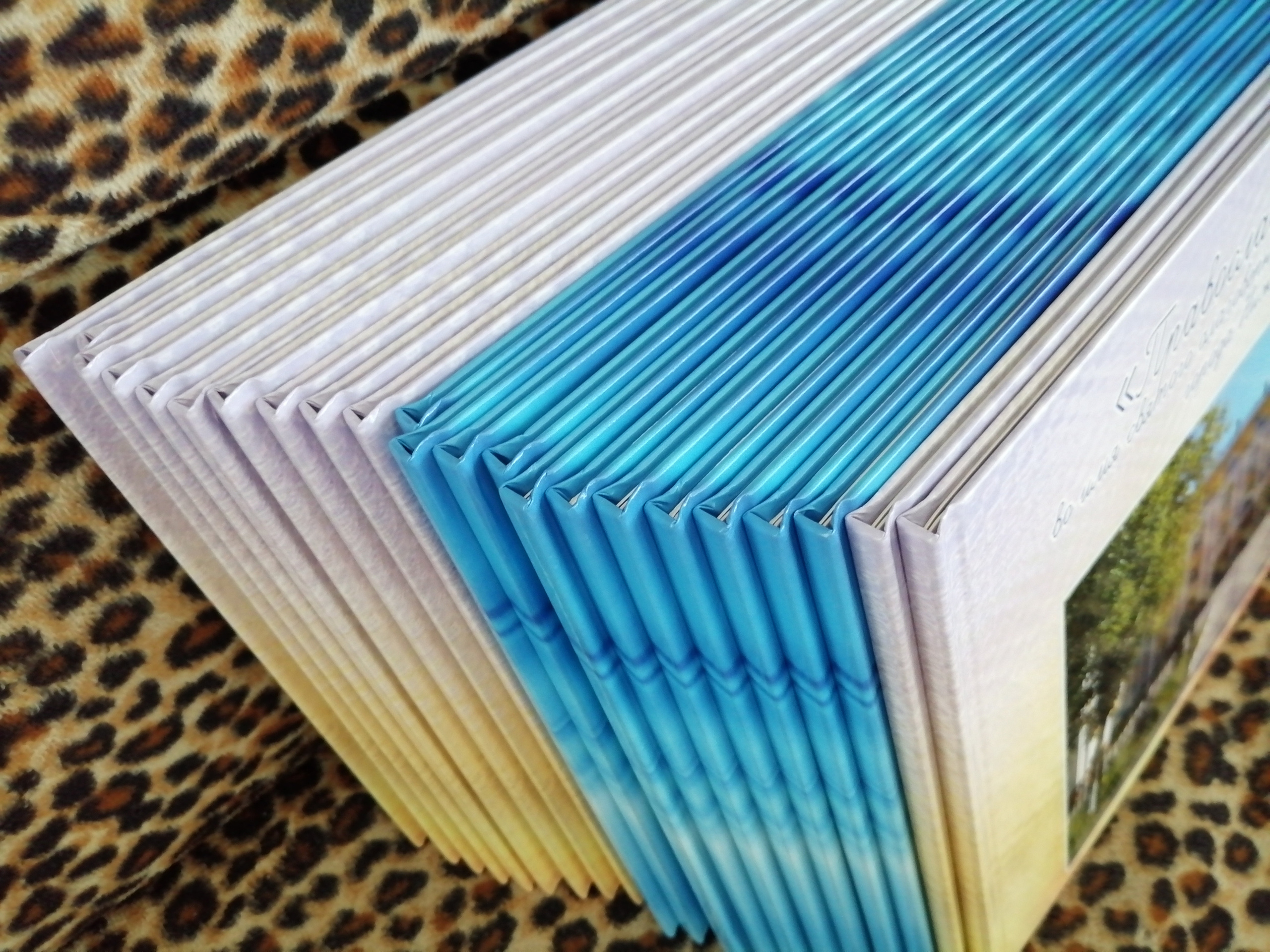 4 классы (КНИГИ)3150-3500р (обложка индивидуальное фото). Фотограф Алёна Финашова