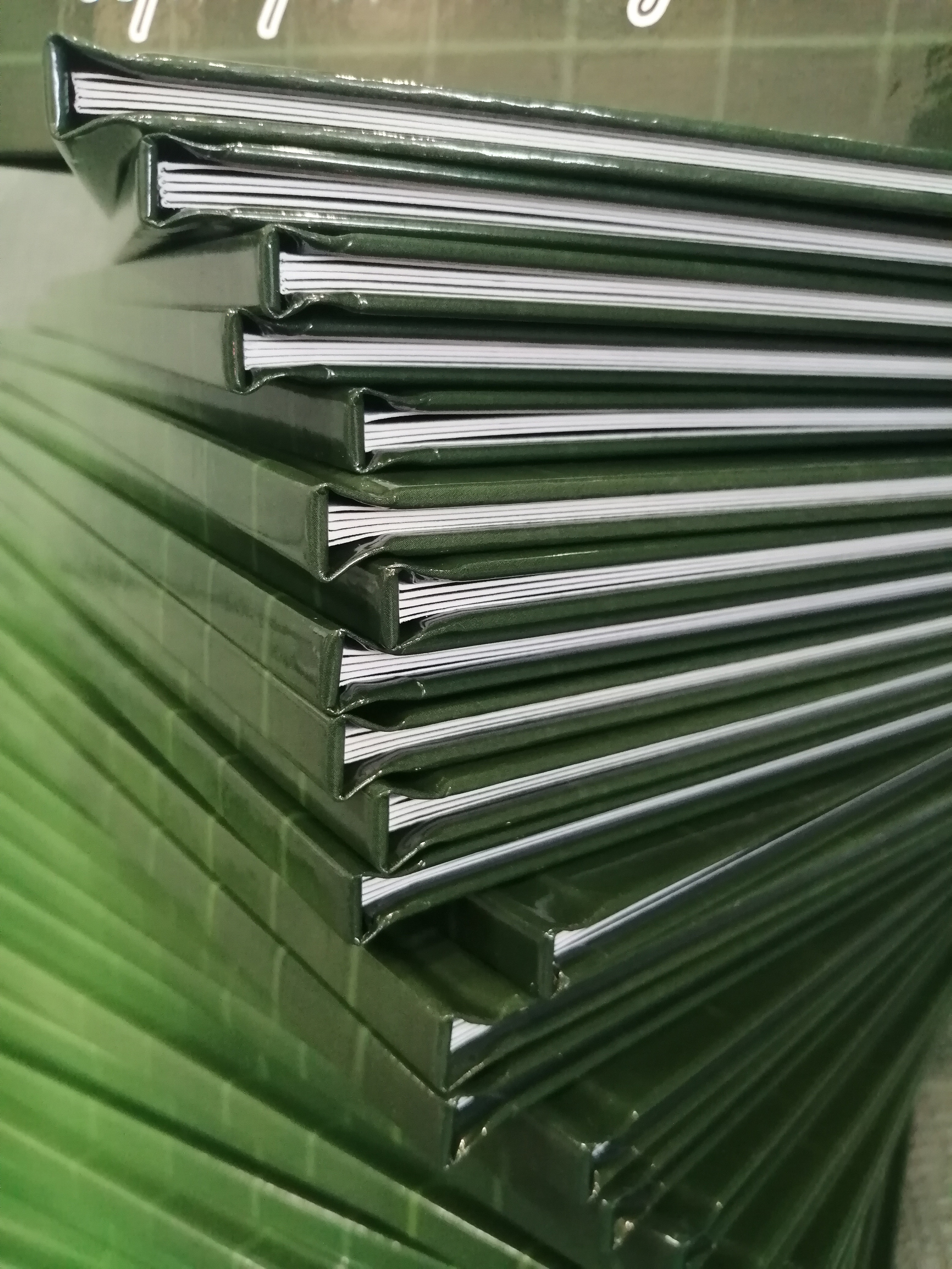 4 классы (КНИГИ)3150-3500р (обложка индивидуальное фото). Фотограф Алёна Финашова