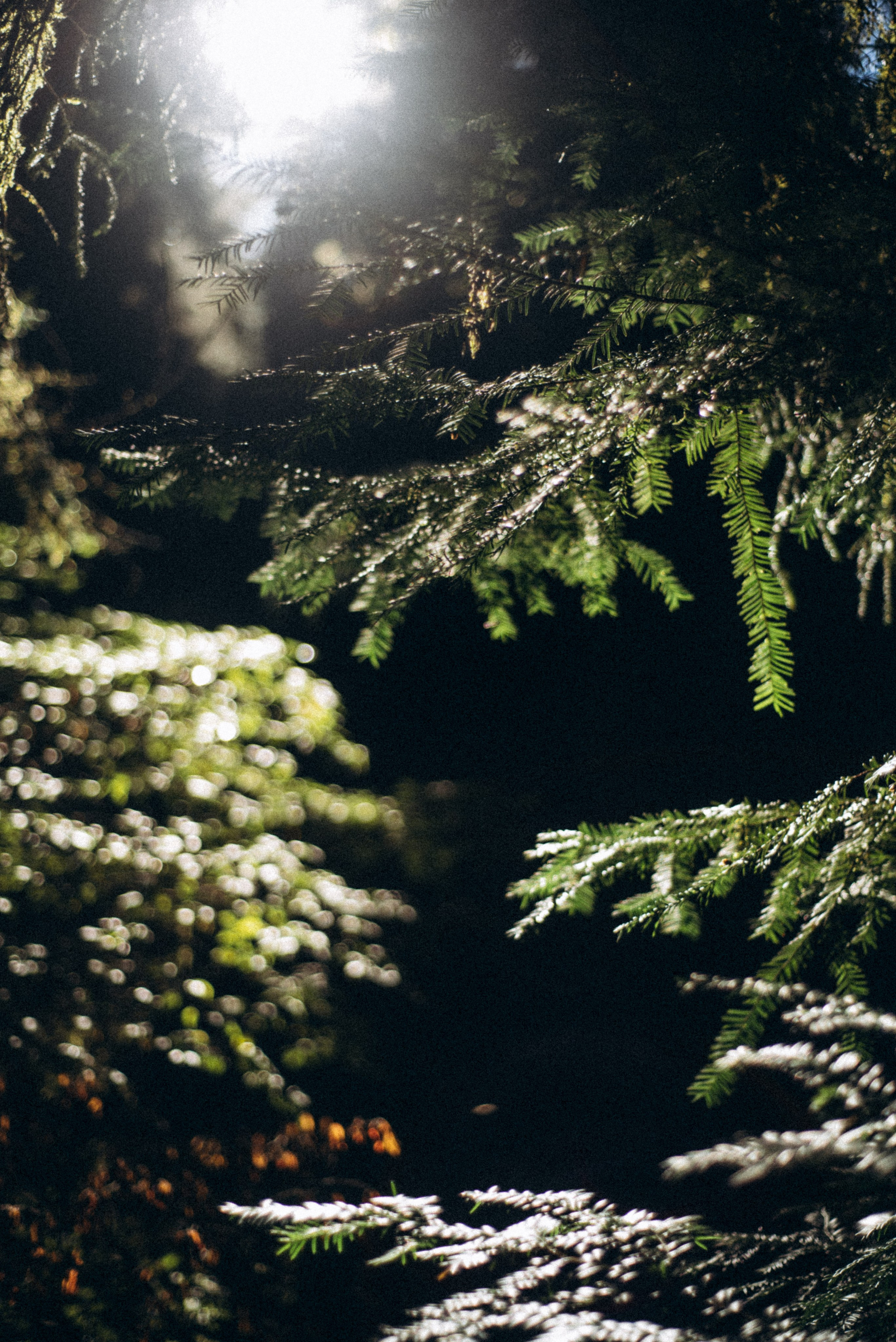Боржоми, Грузия 🇬🇪. Anita_photo