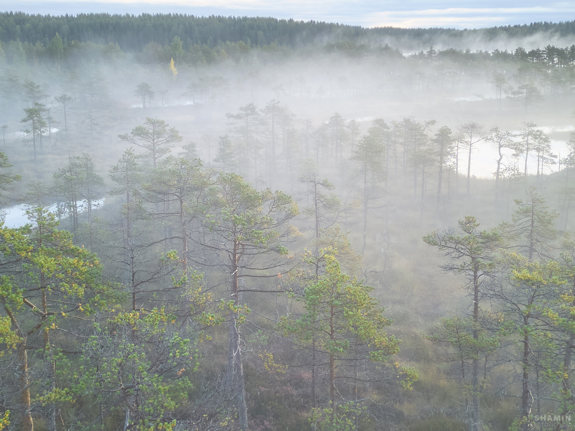 Аэросъемка. Фотограф Константин Шамин
