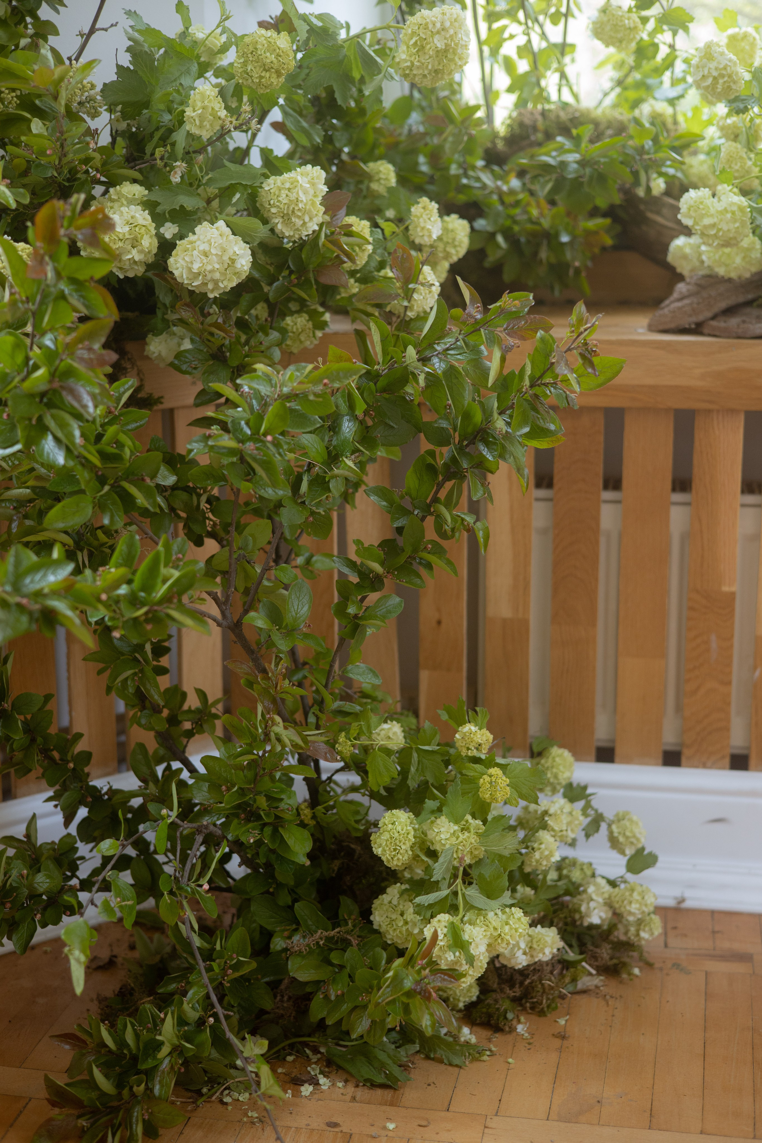 Утро Есении. Оформление свадеб, декор свадеб Вера Маркова, Москва