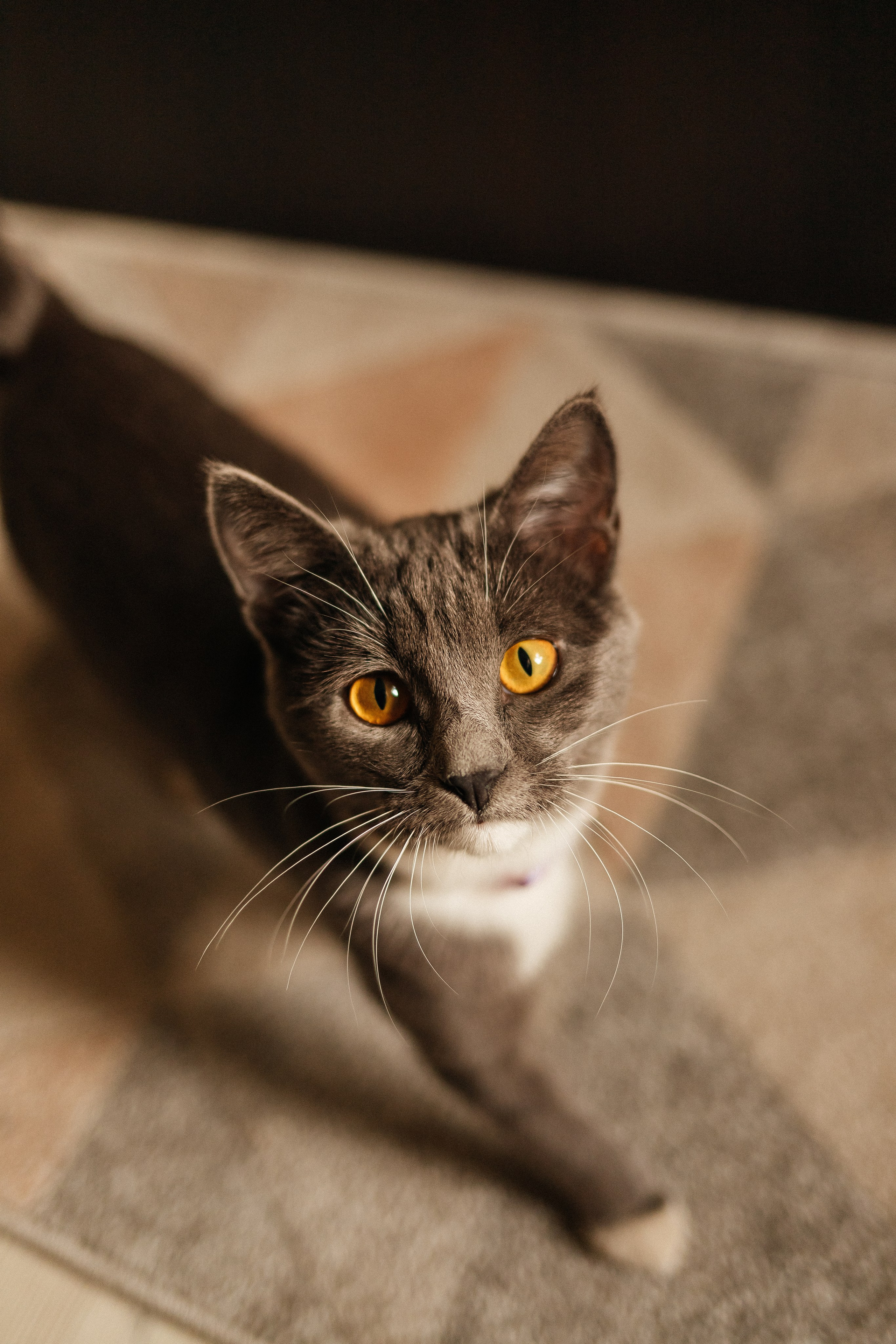 Алексей, Виктория и Артём. Фотограф в Нижнем Новгороде Панфилова Татьяна