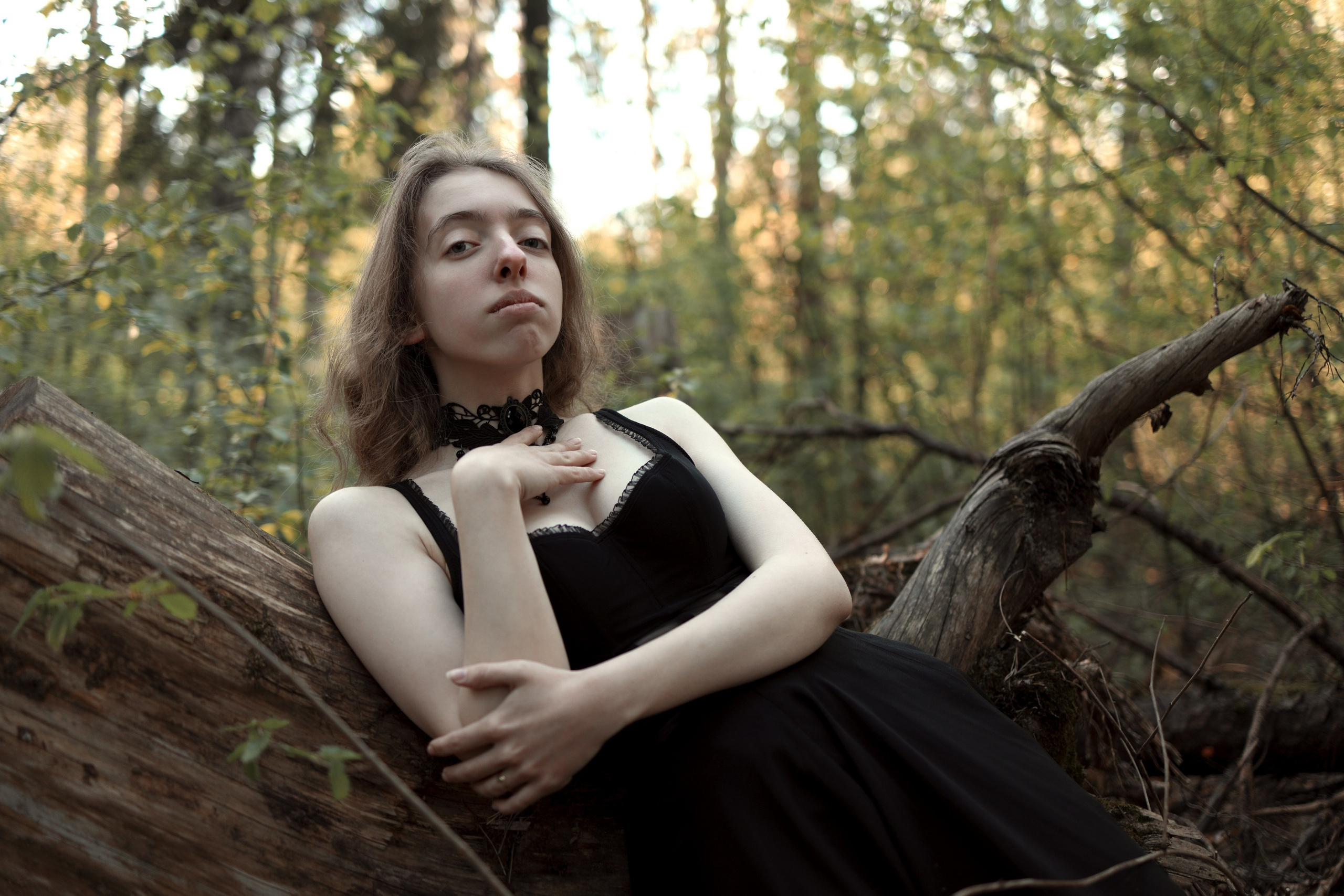 Schutzwald. Арт-фотограф. Coffelisk