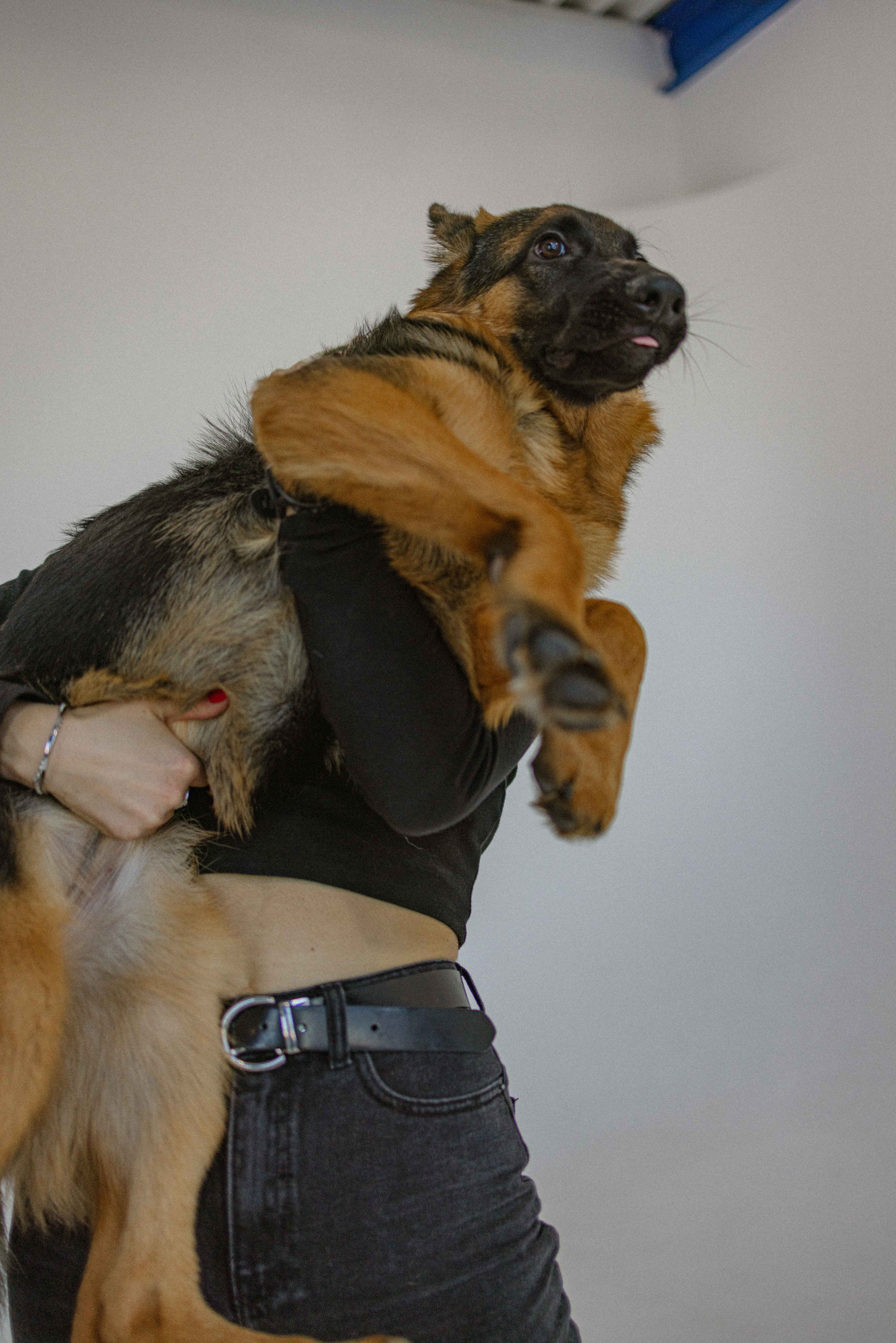 Ася и Буся. Фотограф-анималист в Москве Лера Черноног