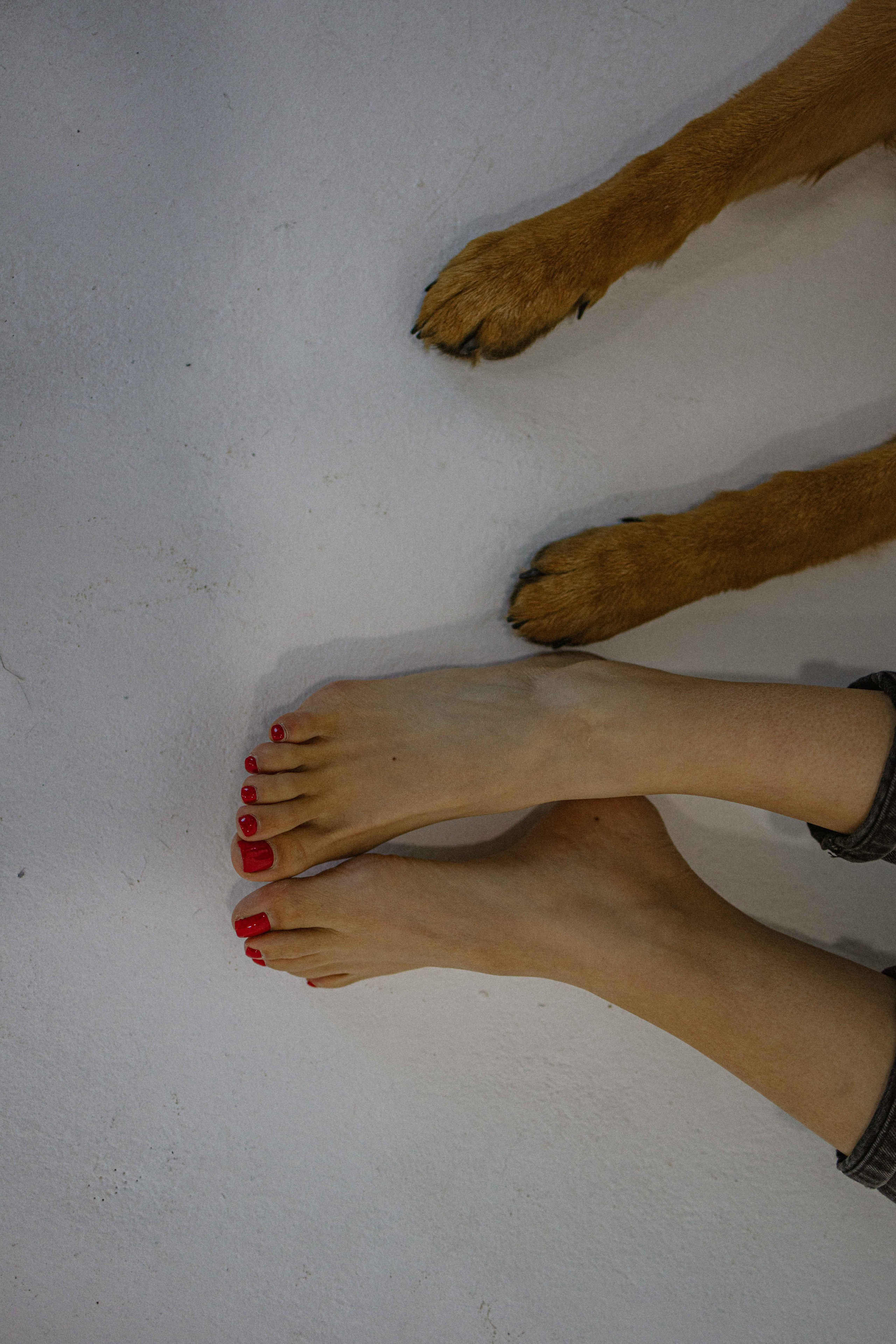 Ася и Буся. Фотограф-анималист в Москве Лера Черноног