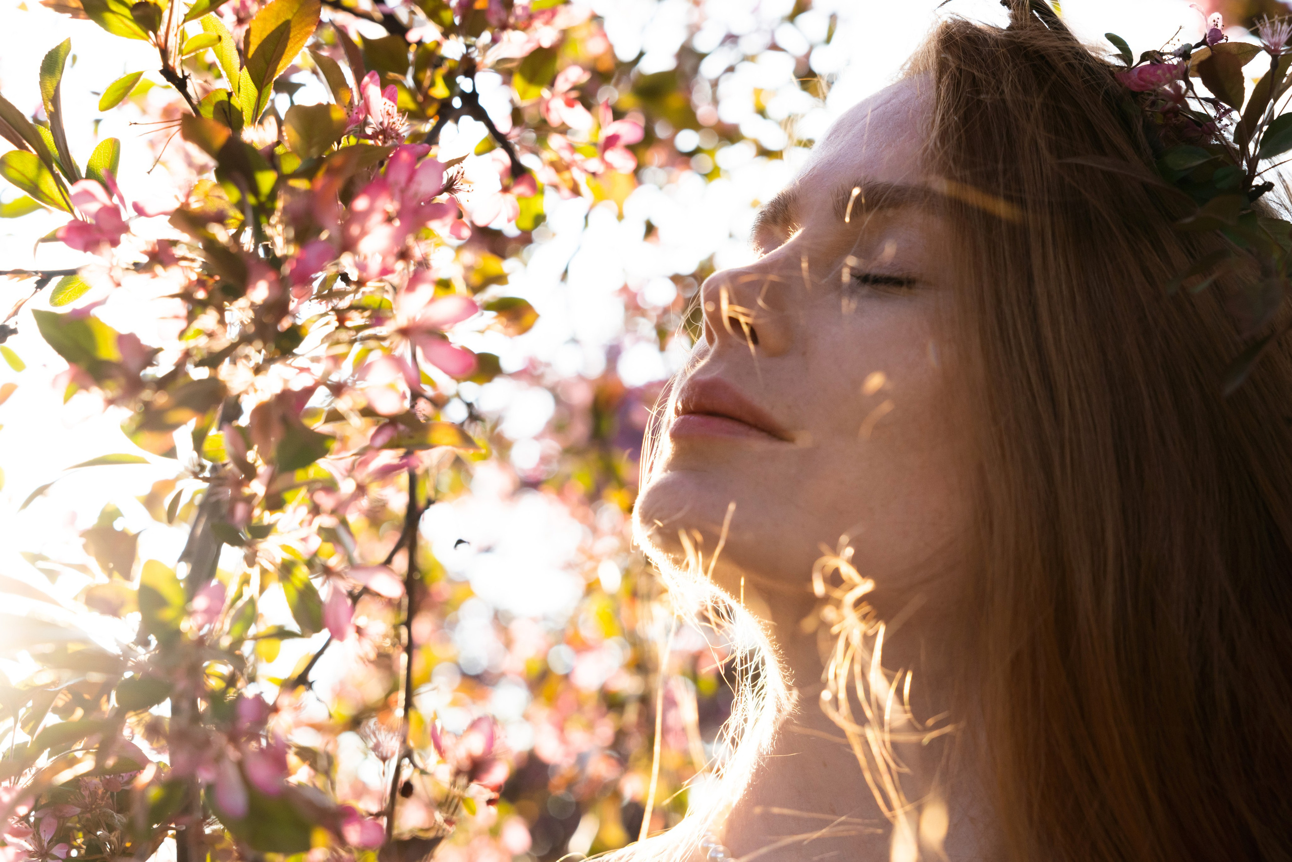 рыжая девушка в цветении розовых яблонь на Белградской улице 