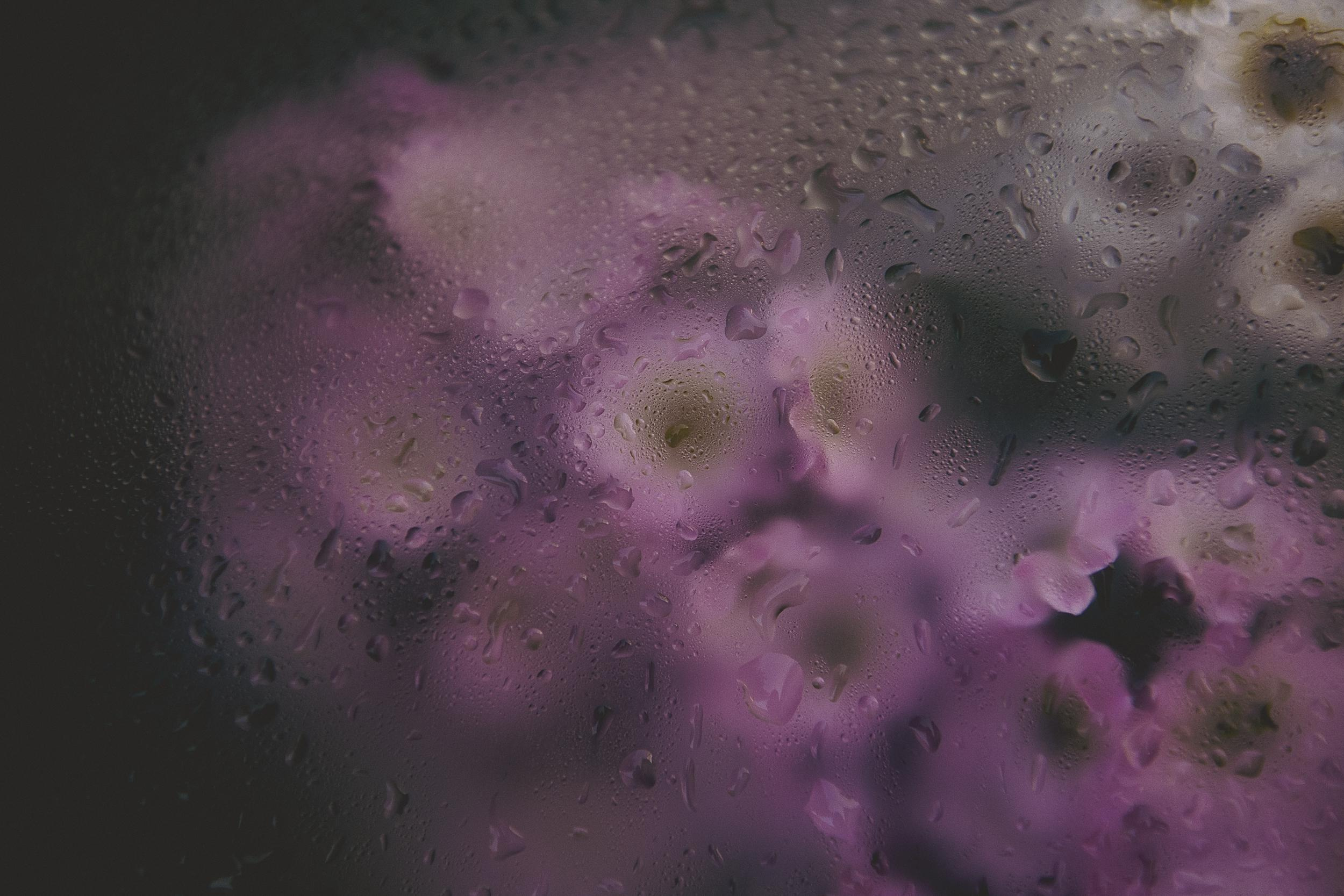 Фотографии для души. Семейный и бизнес-фотограф в Феодосии Кракос Юлия