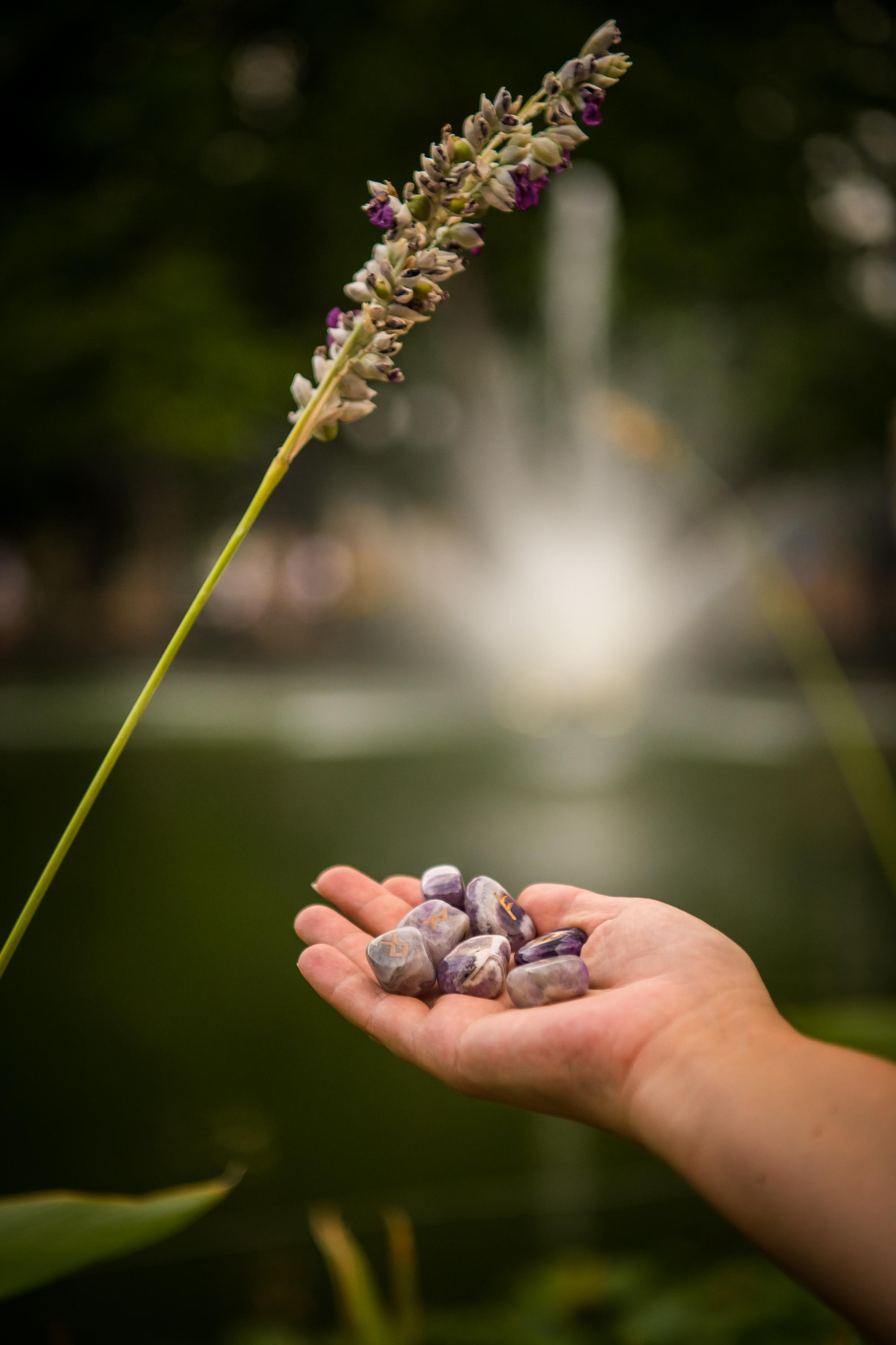 Контент для блогеров, экспертов, Феодосия (Крым). Семейный и бизнес-фотограф в Феодосии Кракос Юлия