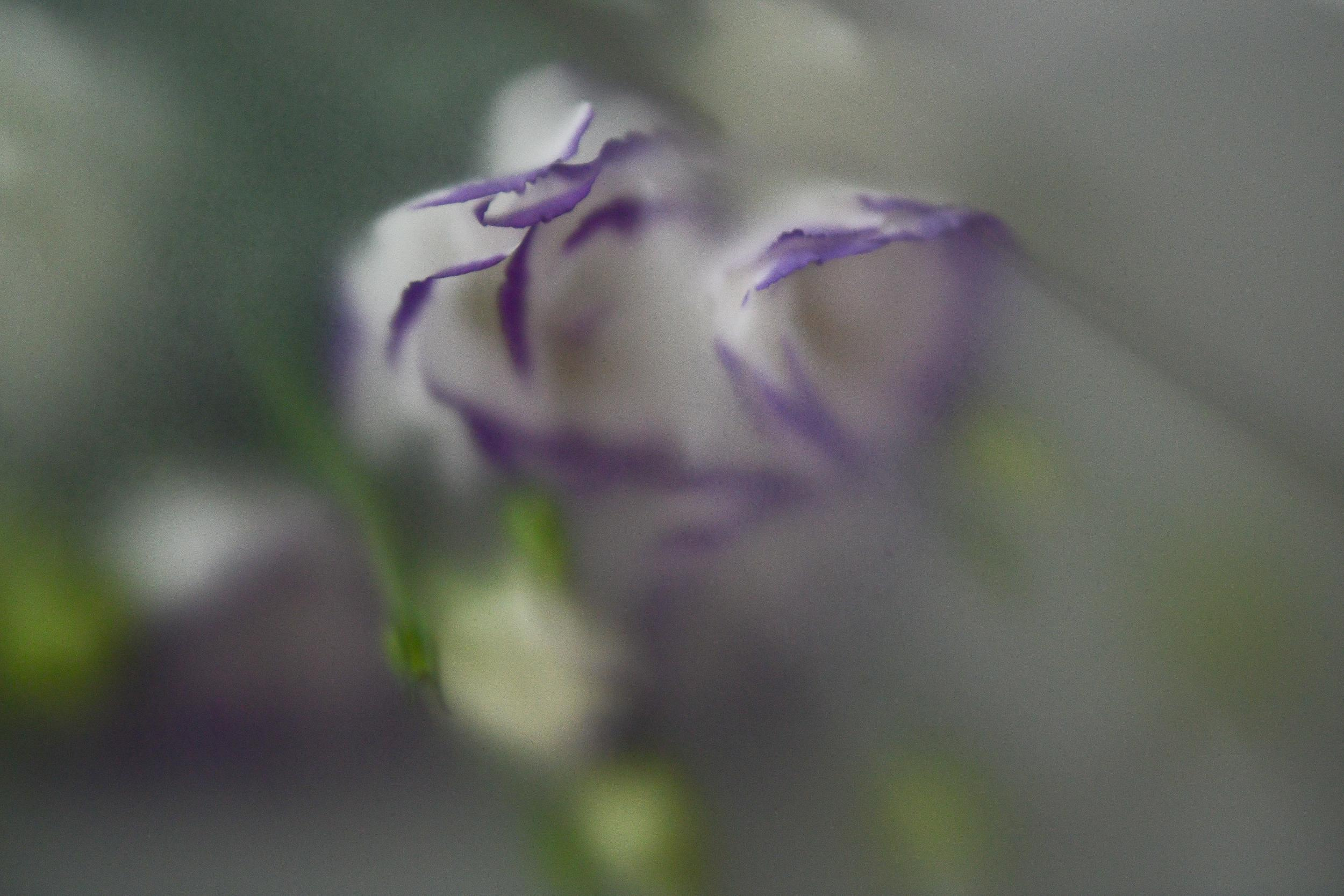 Фотографии для души. Семейный и бизнес-фотограф в Феодосии Кракос Юлия