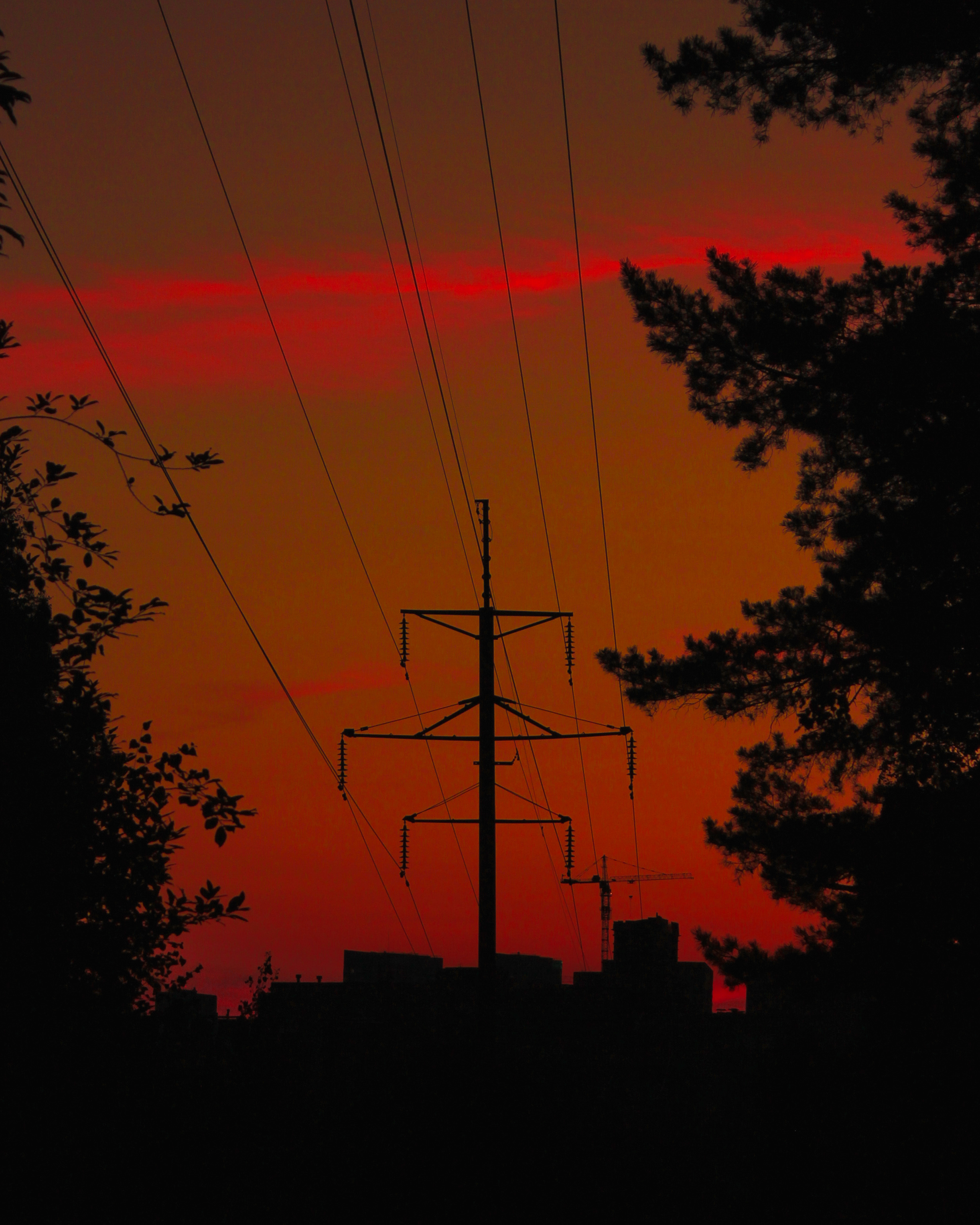 Summertime. Фотограф/дизайнер в Екатеринбурге Хитрый Дмитрий