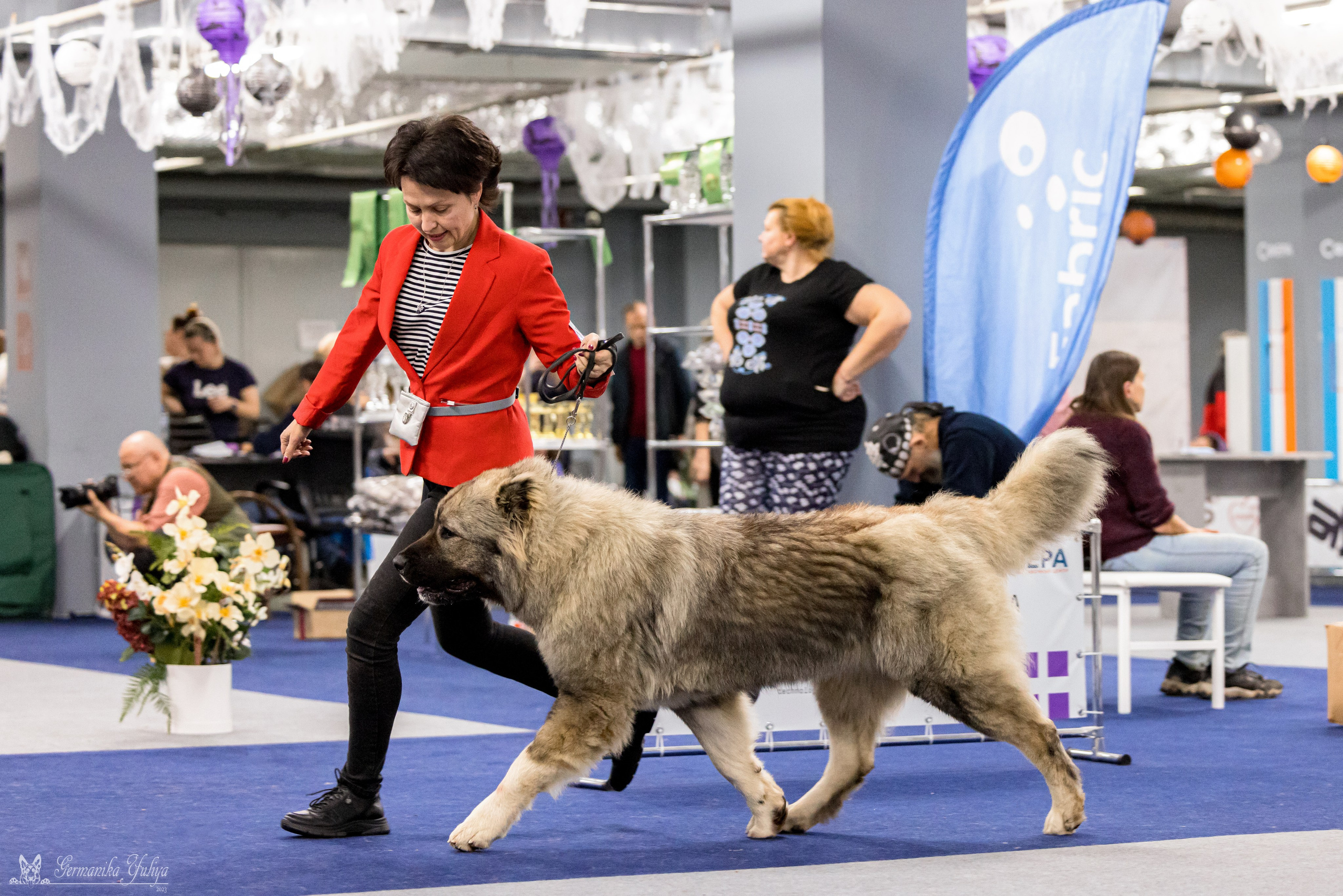 Сфера 29.10,Крокус 4.11,Сфера 12.11.2023. Фотограф-анималист Юлия Германика