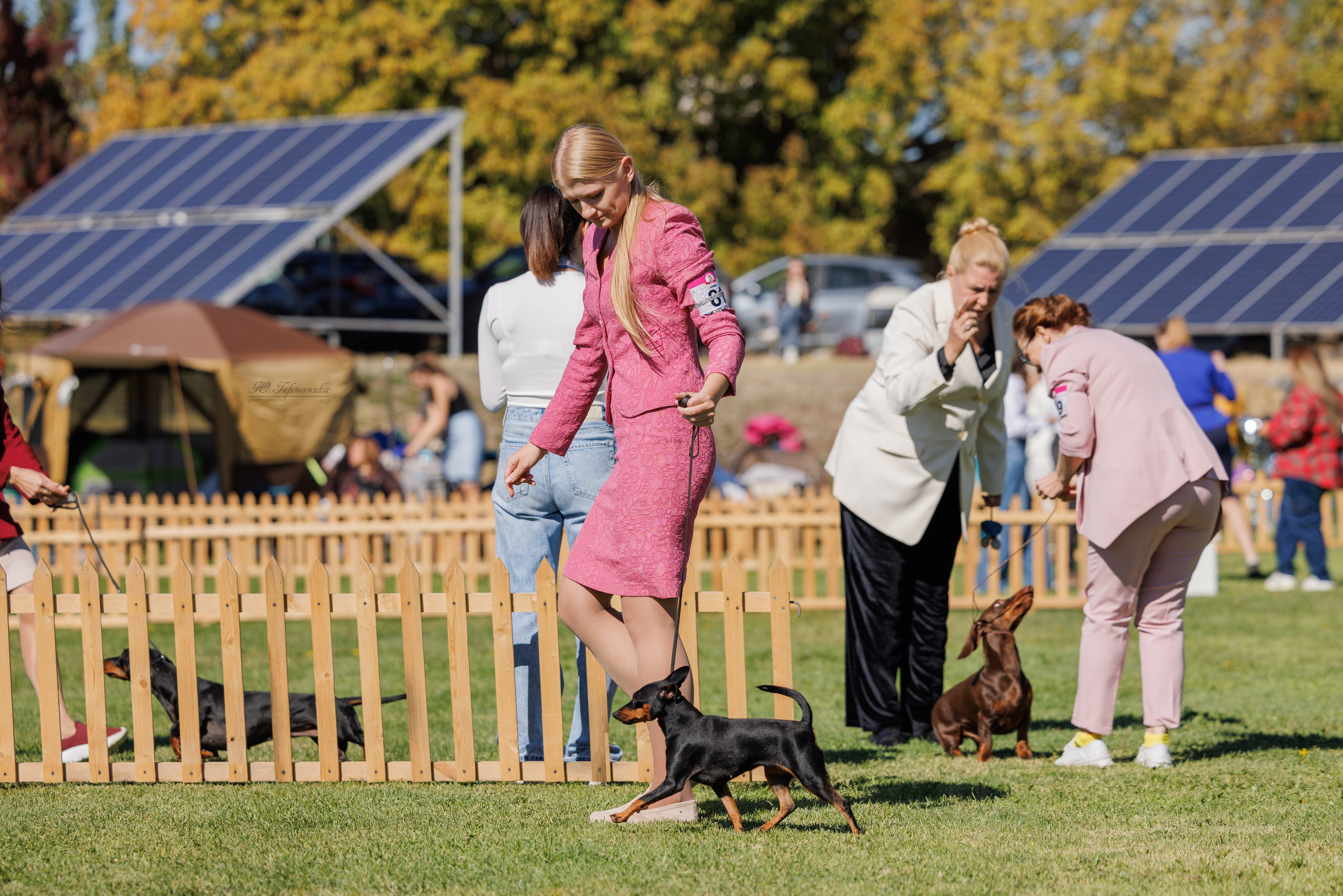 Ереван 14-16.10.2025. Фотограф-анималист Юлия Германика