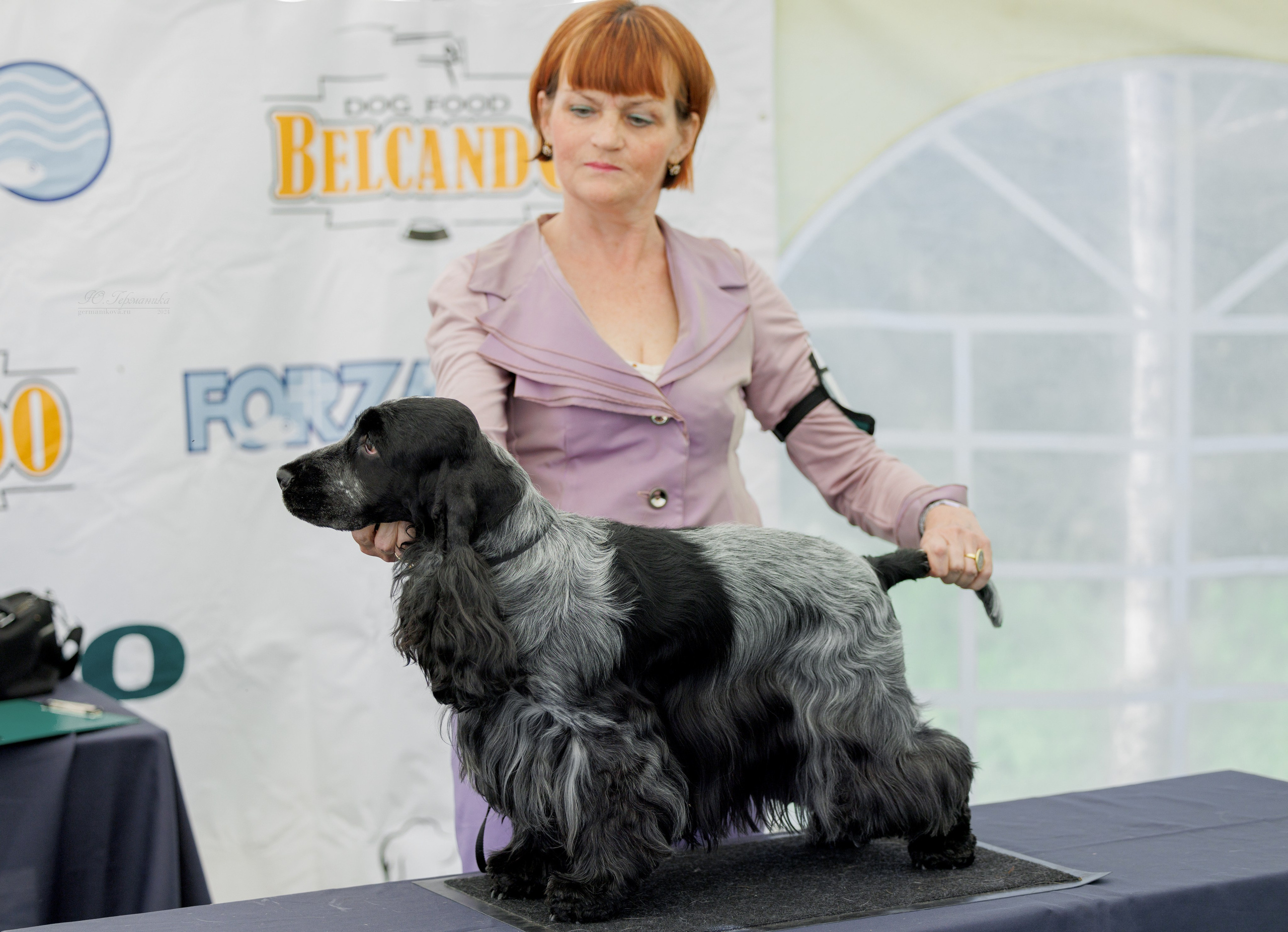 Астана 2хCACIB 17-18.08.2024. Фотограф-анималист Юлия Германика