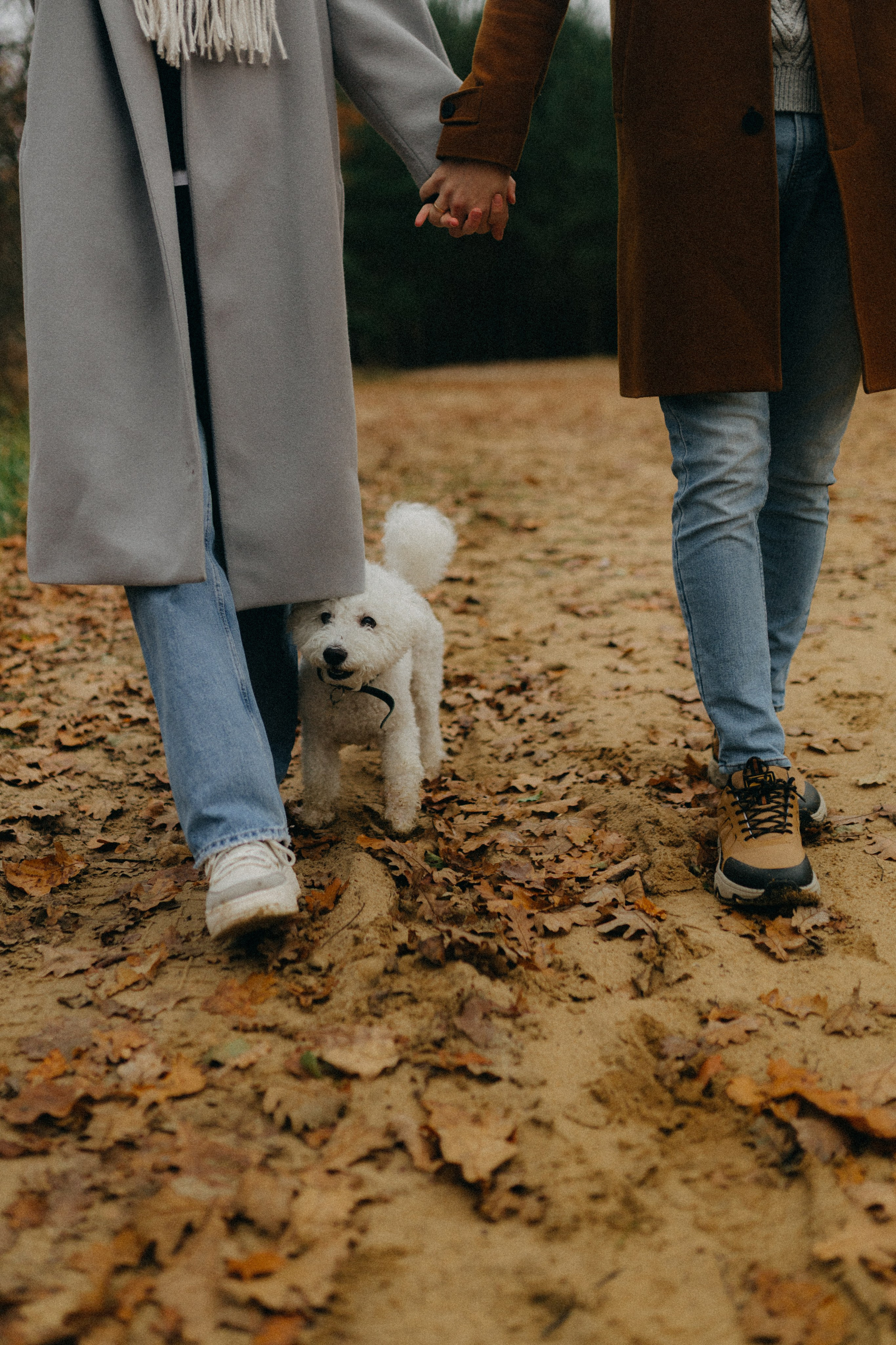 Лена & Миша. Фотограф НОГИНСК, Москва, Анастасия Белая
