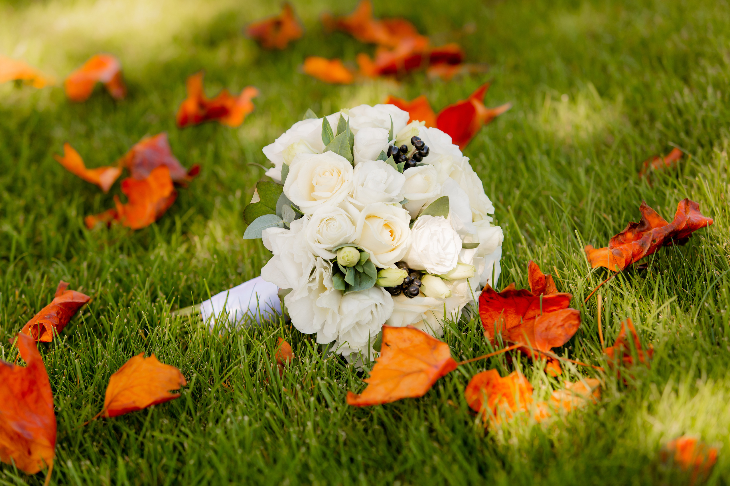 Свадебная фотосъёмка. Cherkasovpro.ru