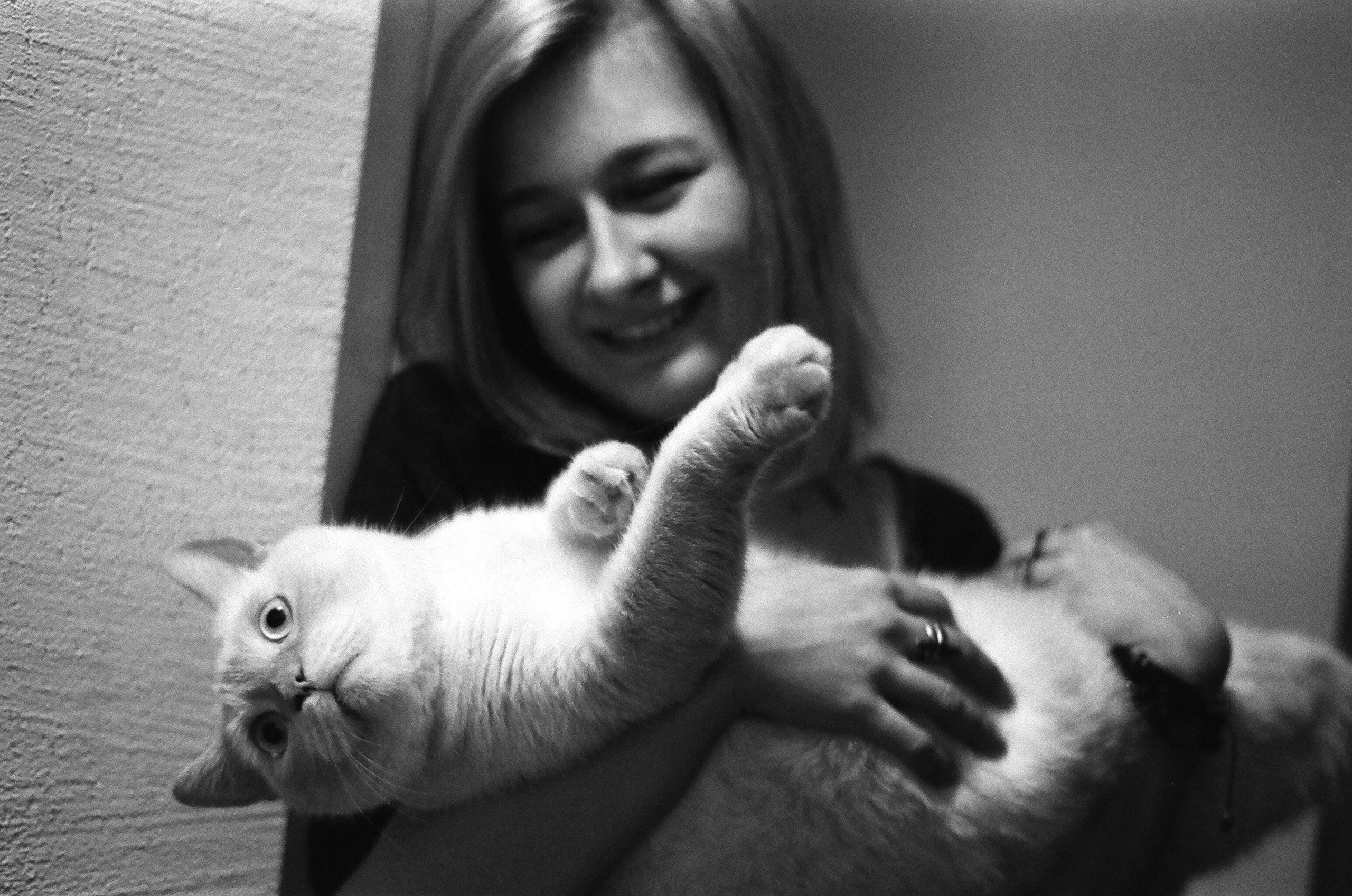 Film. Ruslan UI Dev Page