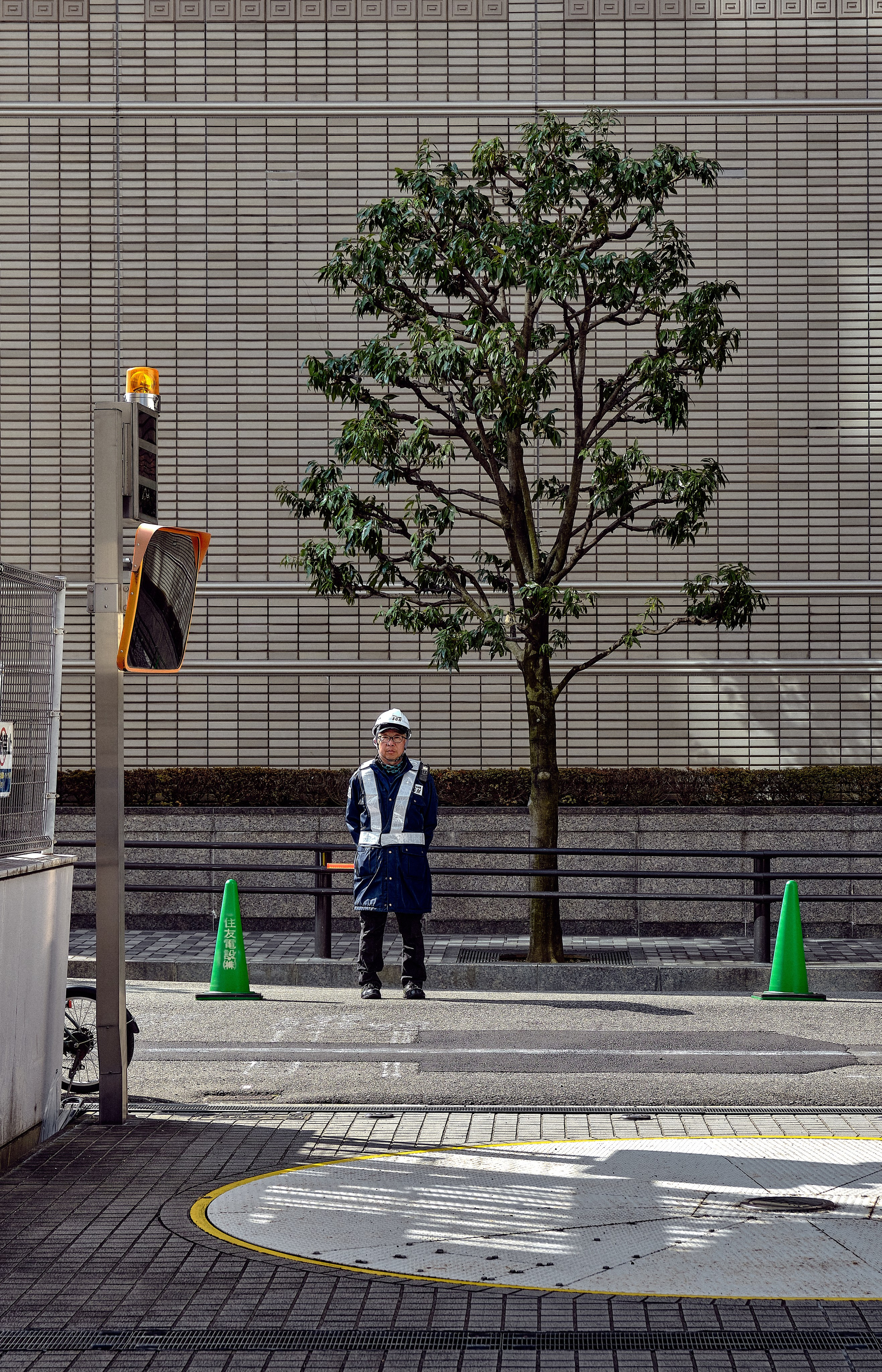 Japan / Osaka≫Kyoto≫Tokyo. Aleksandr Kobtsev