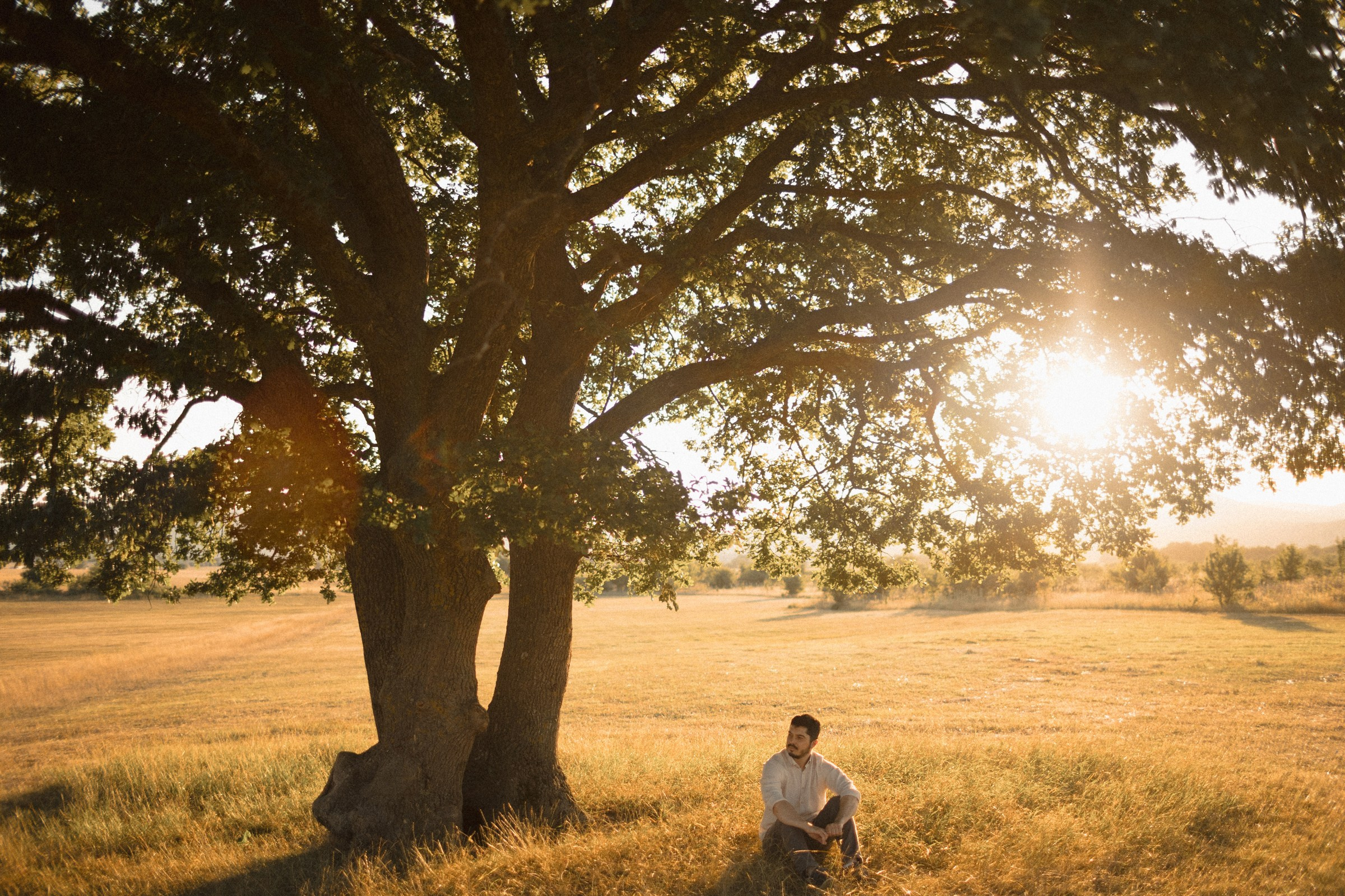 Ждём дочку. Sovushka DS