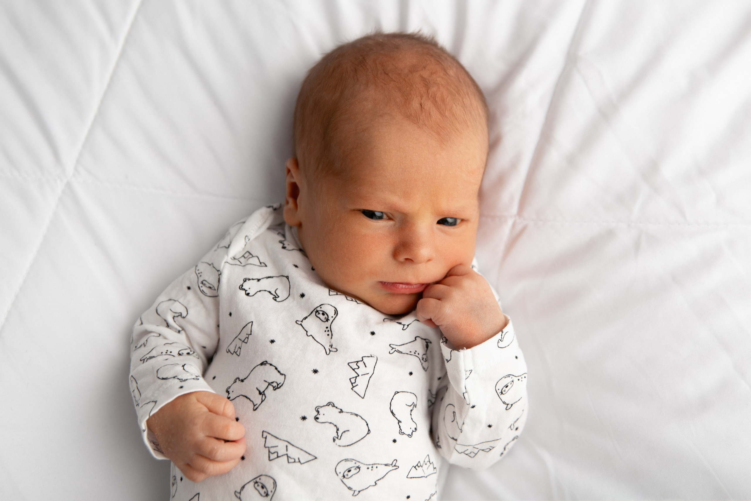 Фотосессия новорожденных в Мурманске, фотограф новорожденных. Мария Махинина — фотограф в Мурманске и Североморске