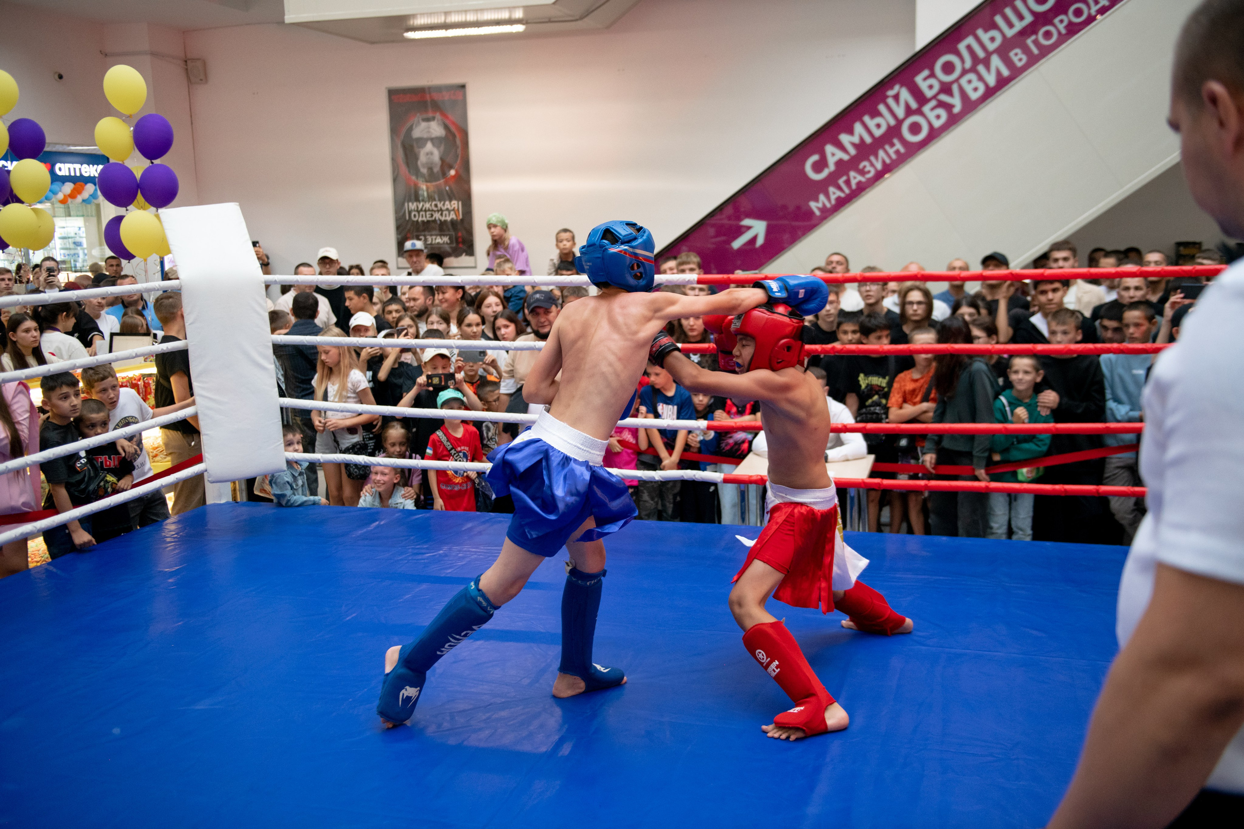 Турнир по боевым искусствам в ТЦ «Сити Молл». Репортажный фотограф в Стерлитамаке Дмитрий Соколов