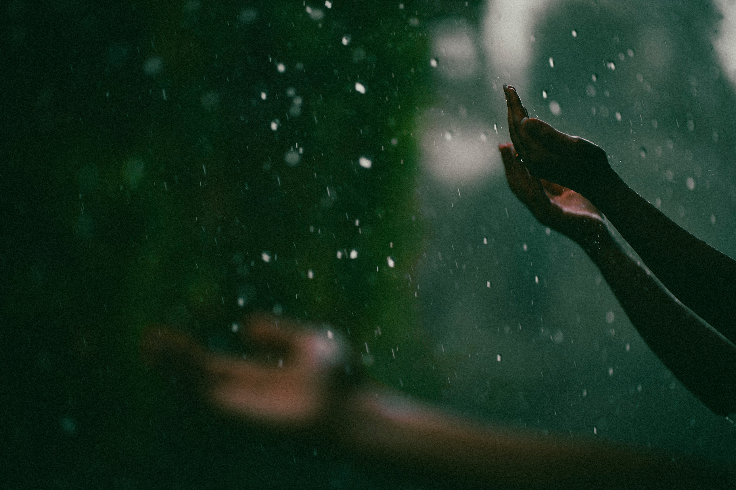 Жизнь. Профессиональный фотограф Кирилл Зайцев