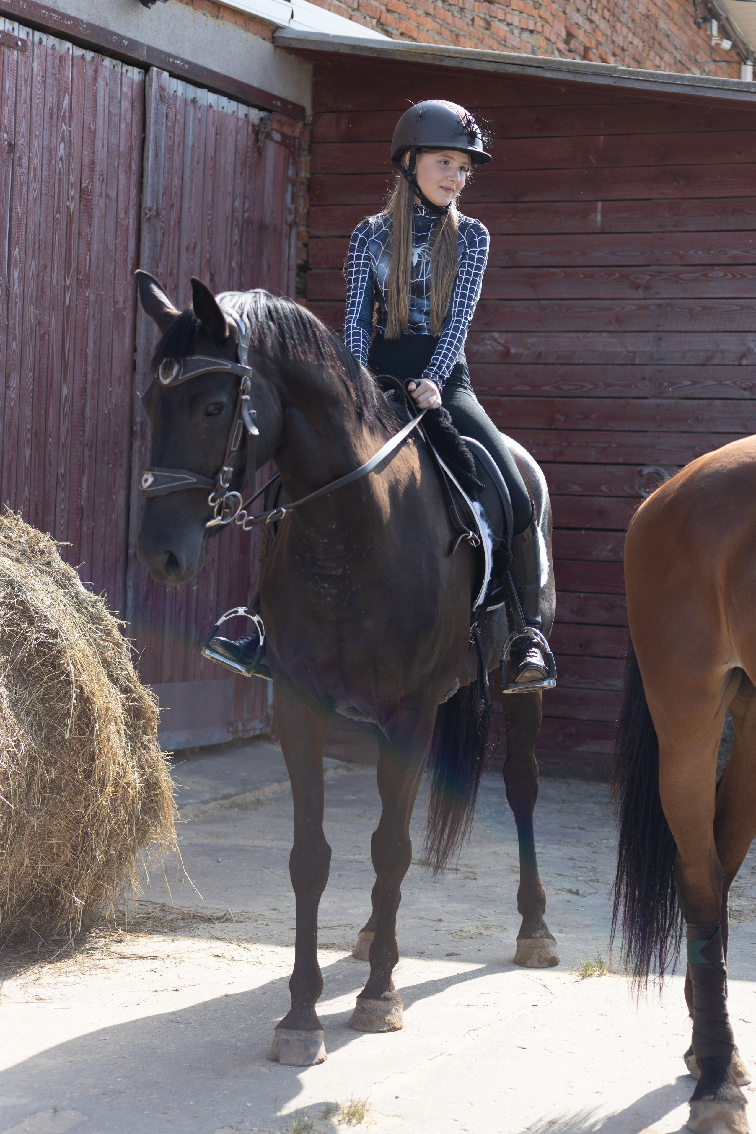 Конюшня. Фотограф в Москве и Истре