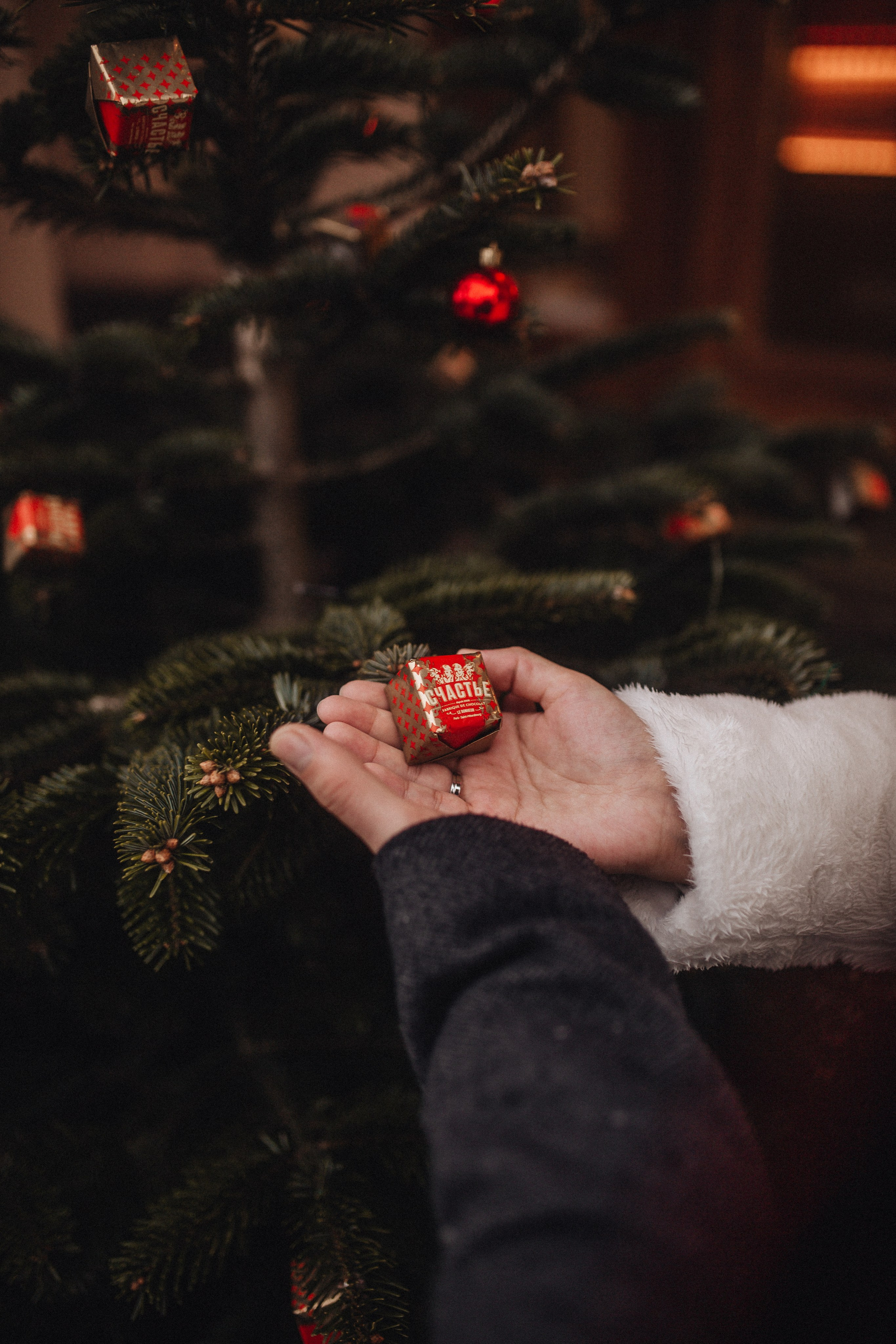 23.12.23. Фотограф в Санкт Петербурге Лара Великова