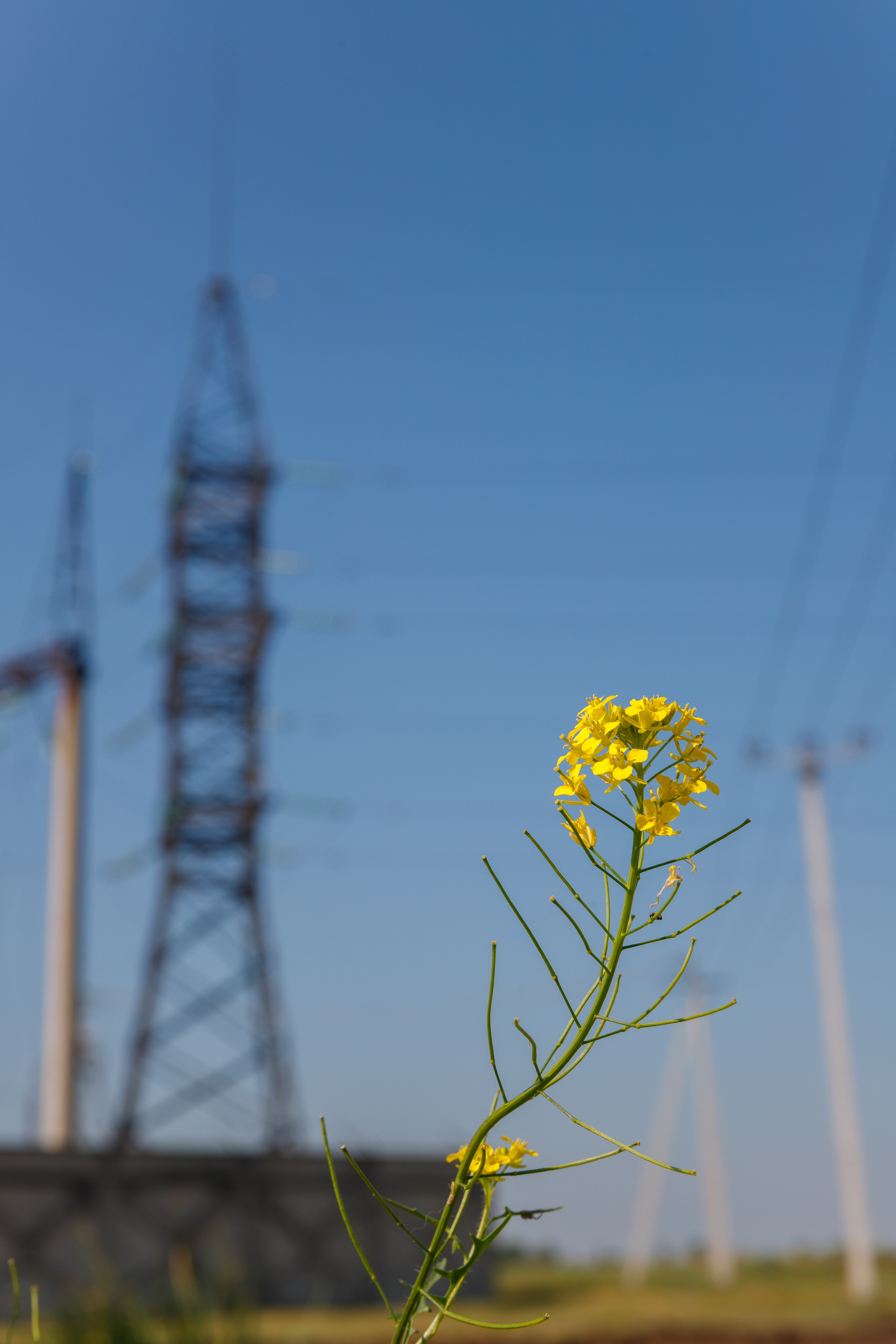 Промышленный репортаж. Коммерческий фотограф, ретушёр Анастасия Пачина