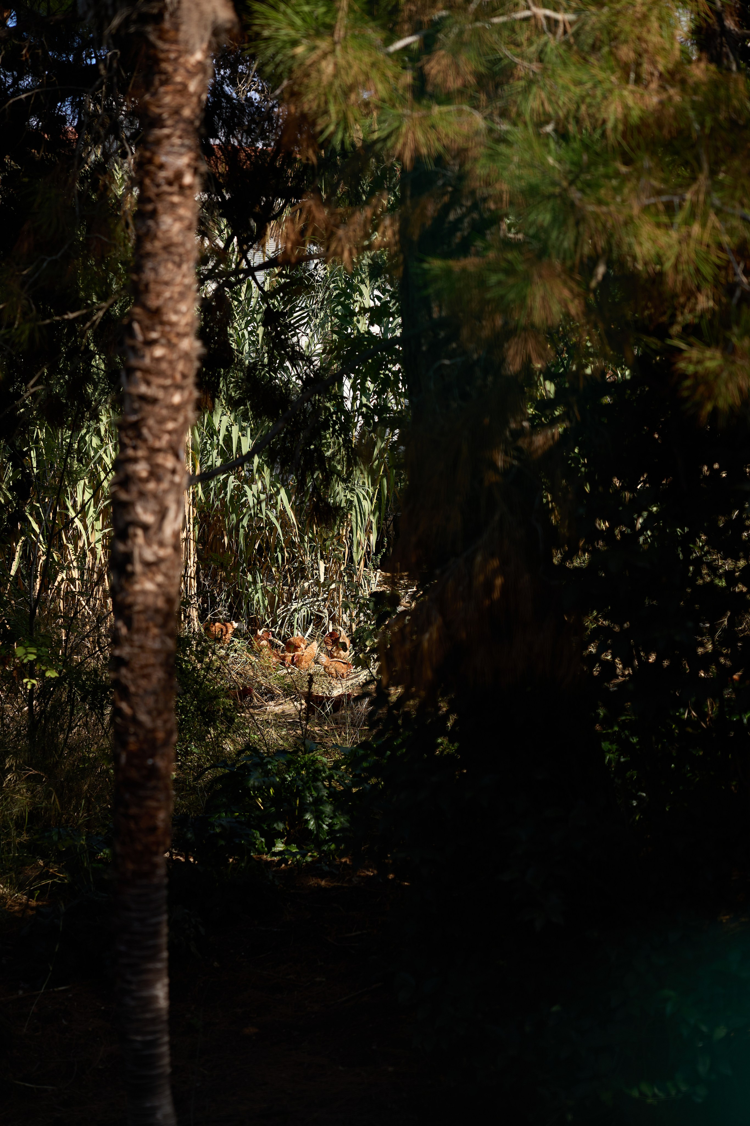 Стамбул 24. Фотограф Москва, Дима Пеллер